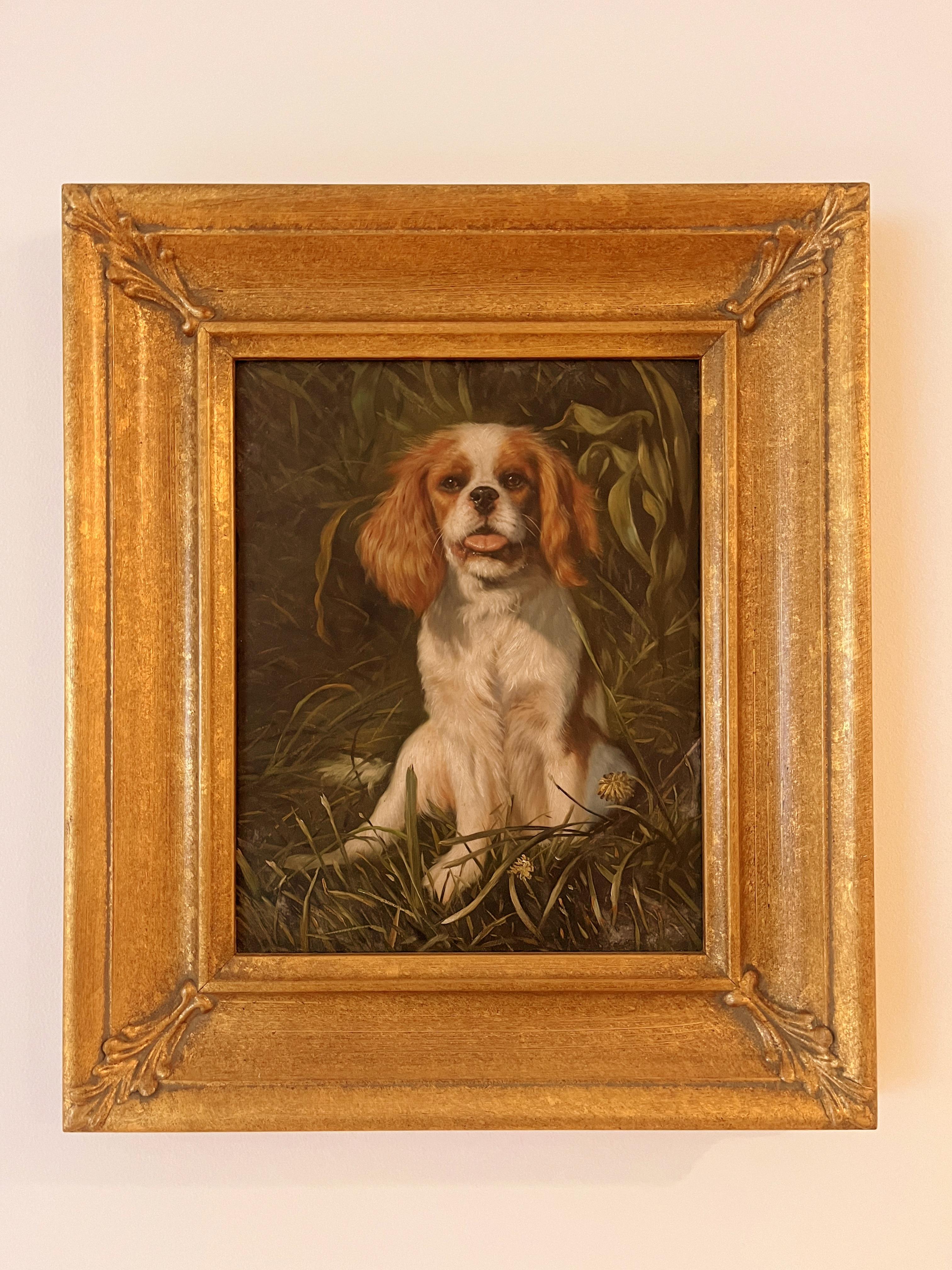 Framed Vintage Oil Painting on Board of King Charles Spaniel Dog
Depicted Charming Spaniel sitting with small exhaustion after excise in the field.
Overall size with frame :  14.5
