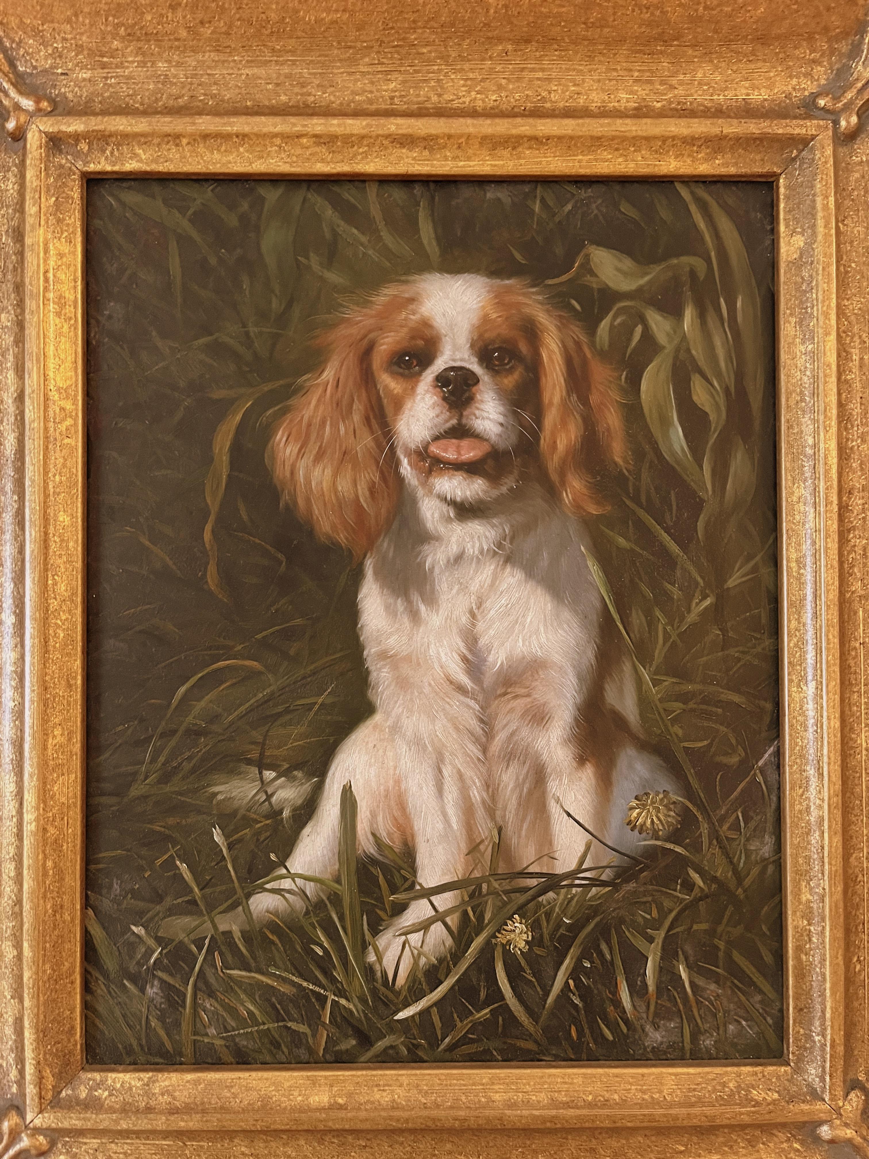 Unknown Framed Oil Painting on Board of King Charles Spaniel Dog For Sale