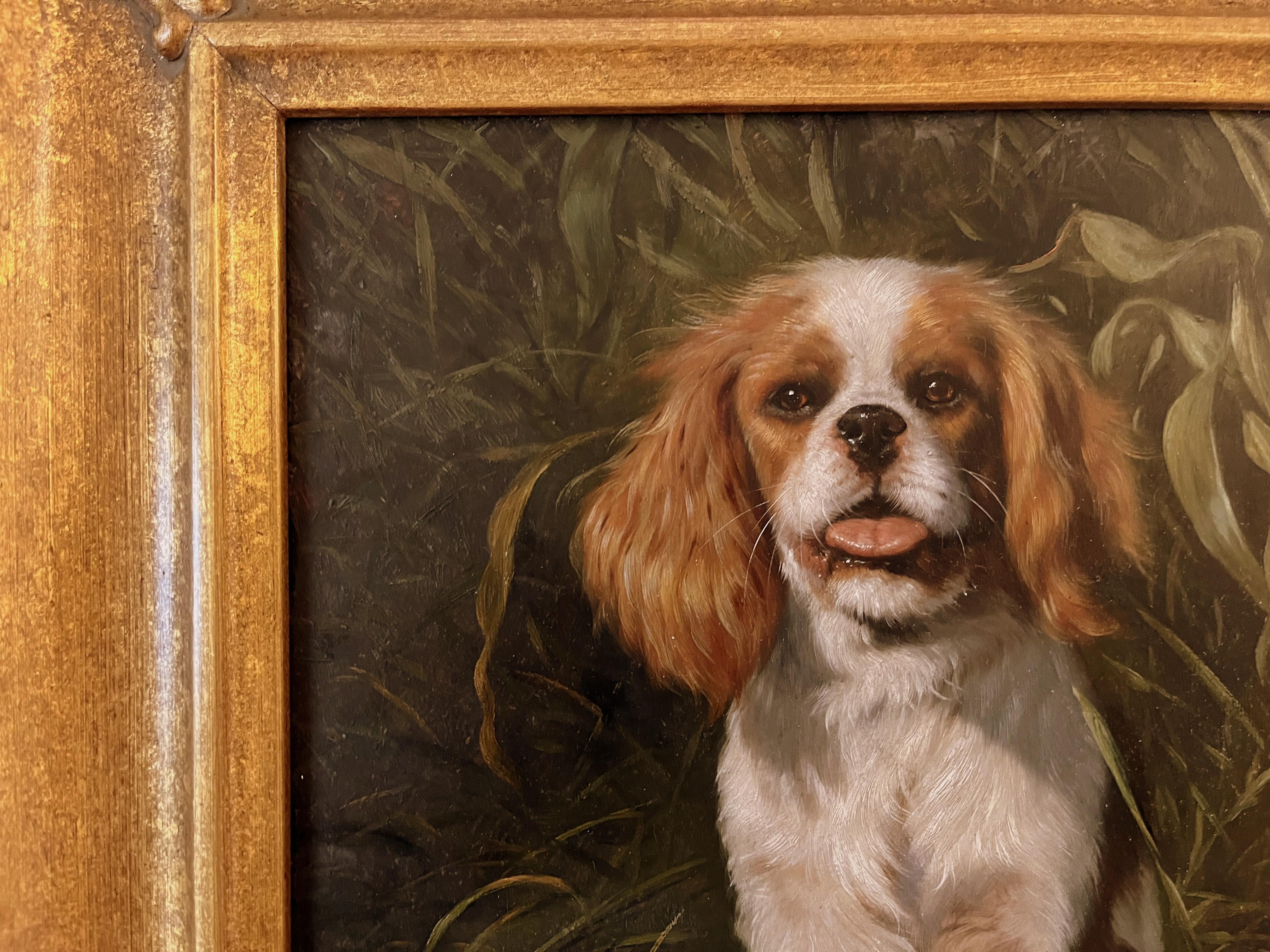 Oiled Framed Oil Painting on Board of King Charles Spaniel Dog For Sale