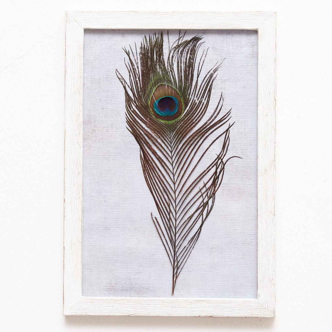 Mid-Century Modern Framed Original Peacock Feather, circa 1970