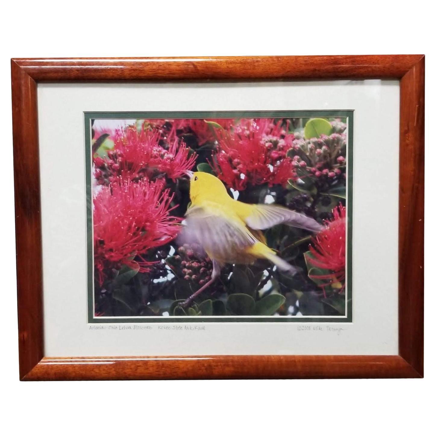 Gerahmter Original-Fotodruck eines gelben Vogels in Hawaii-Blumenblumen
