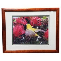 Gerahmter Original-Fotodruck eines gelben Vogels in Hawaii-Blumenblumen