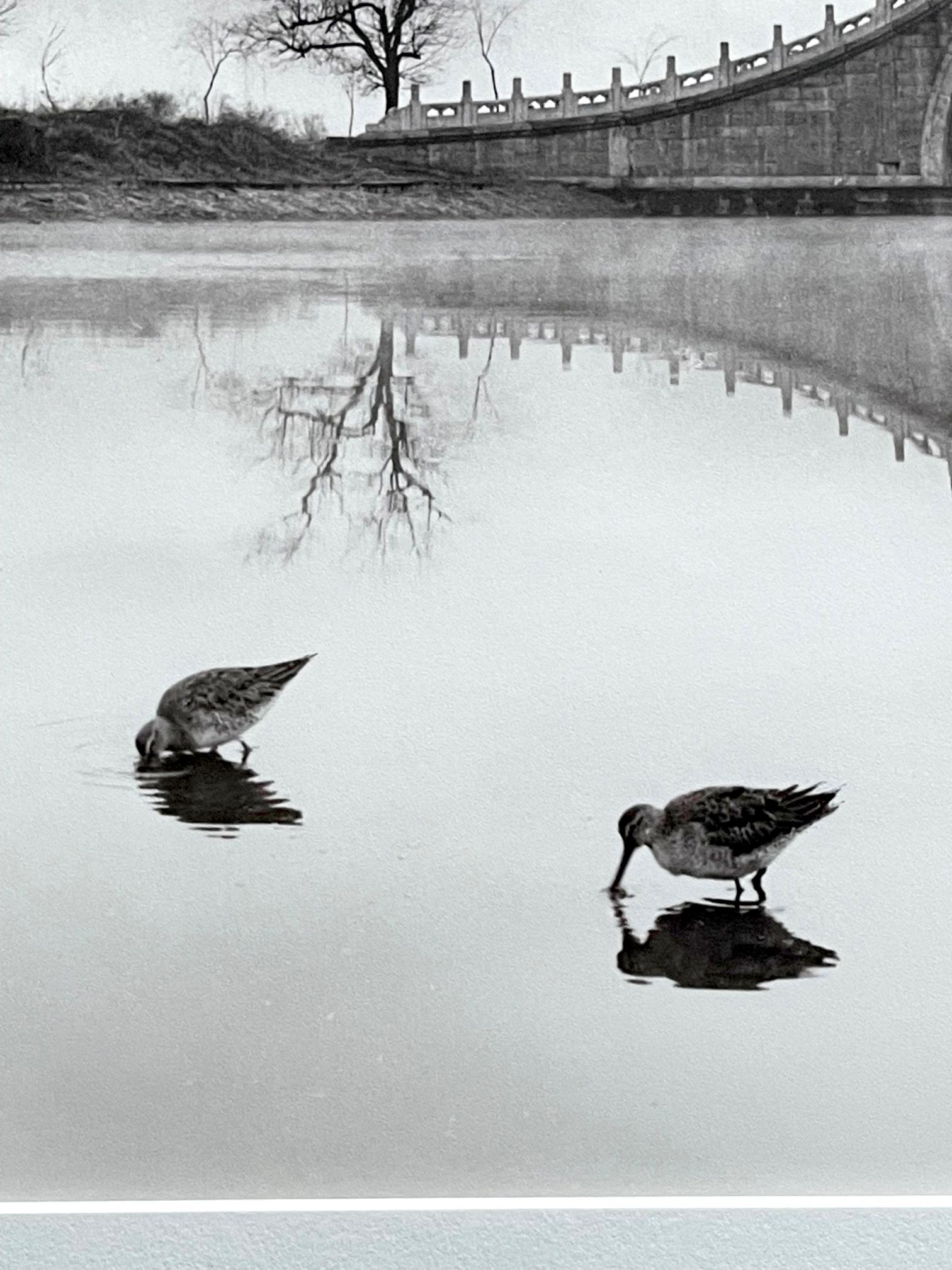 Framed Photograph by Don Hong-Oai For Sale 1