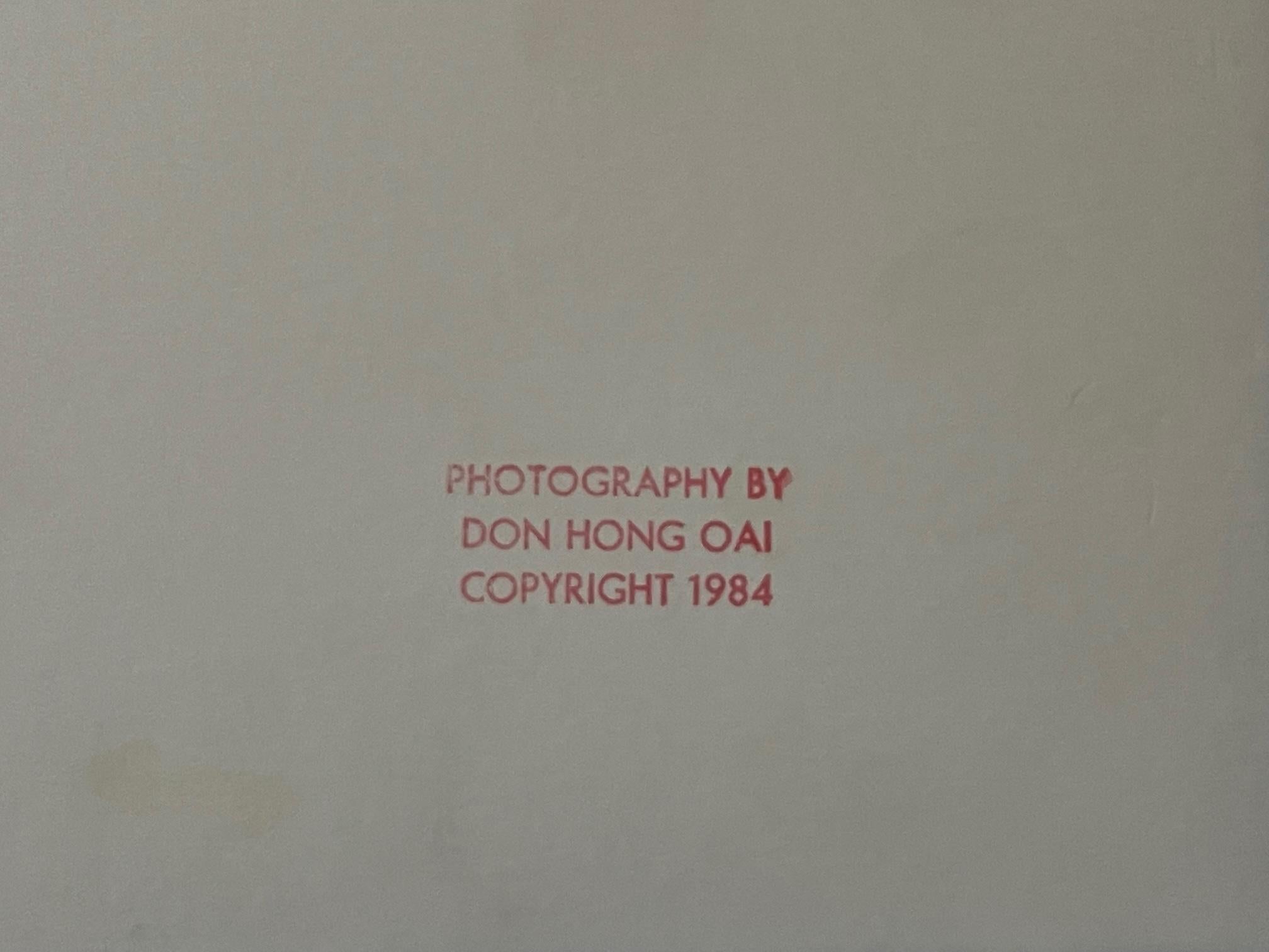 20ième siècle Photographie encadrée de Don Hong-Oai en vente