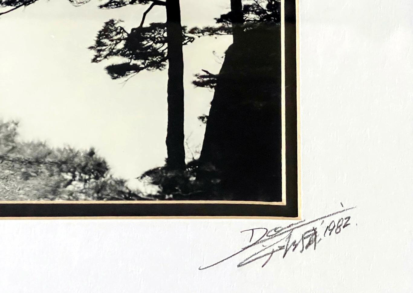 Gerahmte Fotografie von Don Hong-Oai (Ende des 20. Jahrhunderts) im Angebot