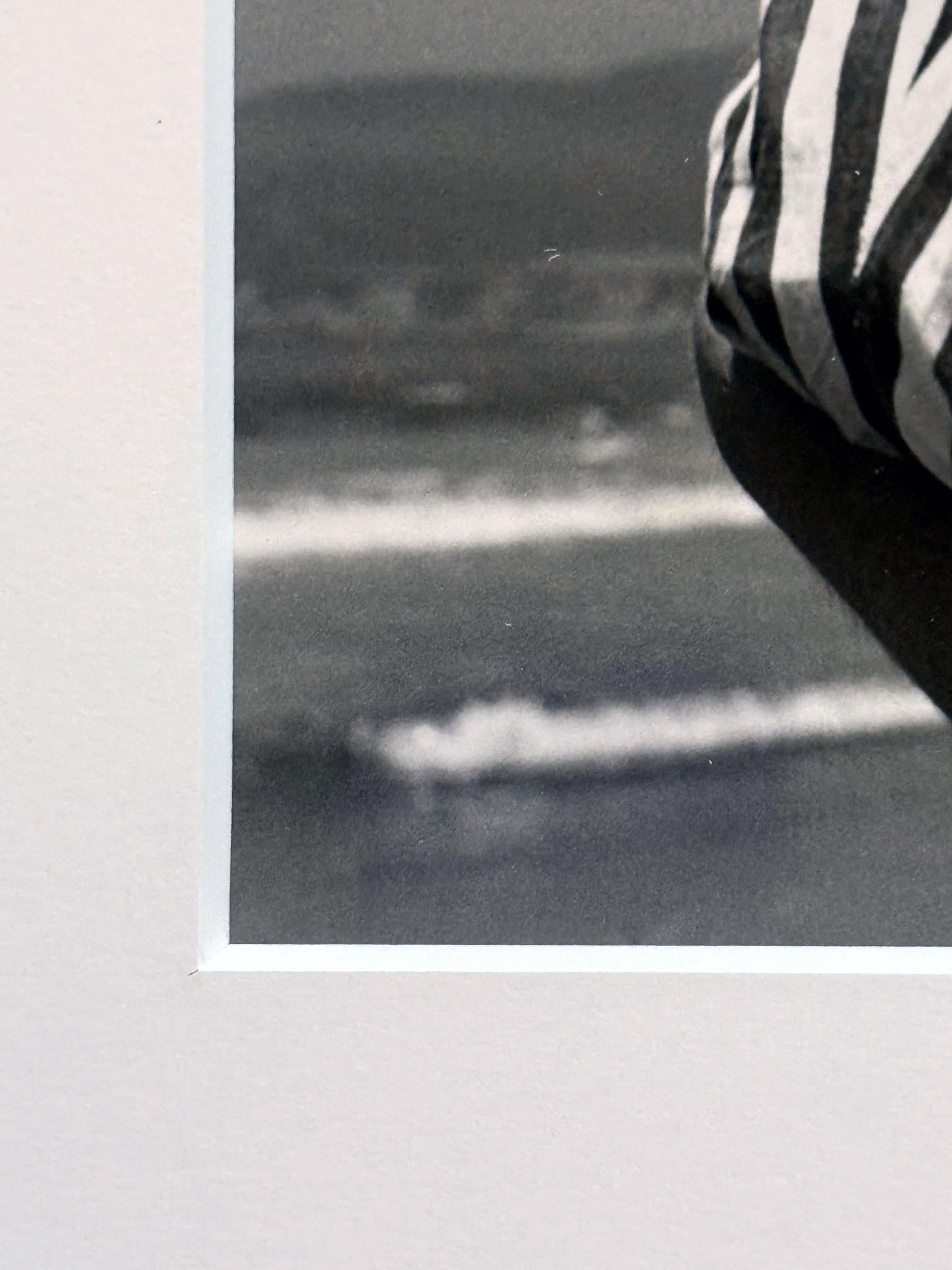 Bois Photographie encadrée de Vivian Maier éditée avec Provenance en vente