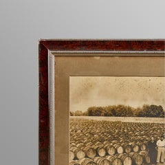 Framed Photograph of Growers & Wine Barrels