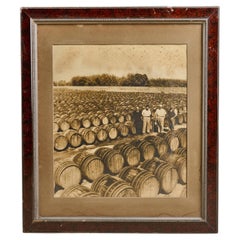 Framed Photograph of Growers & Wine Barrels