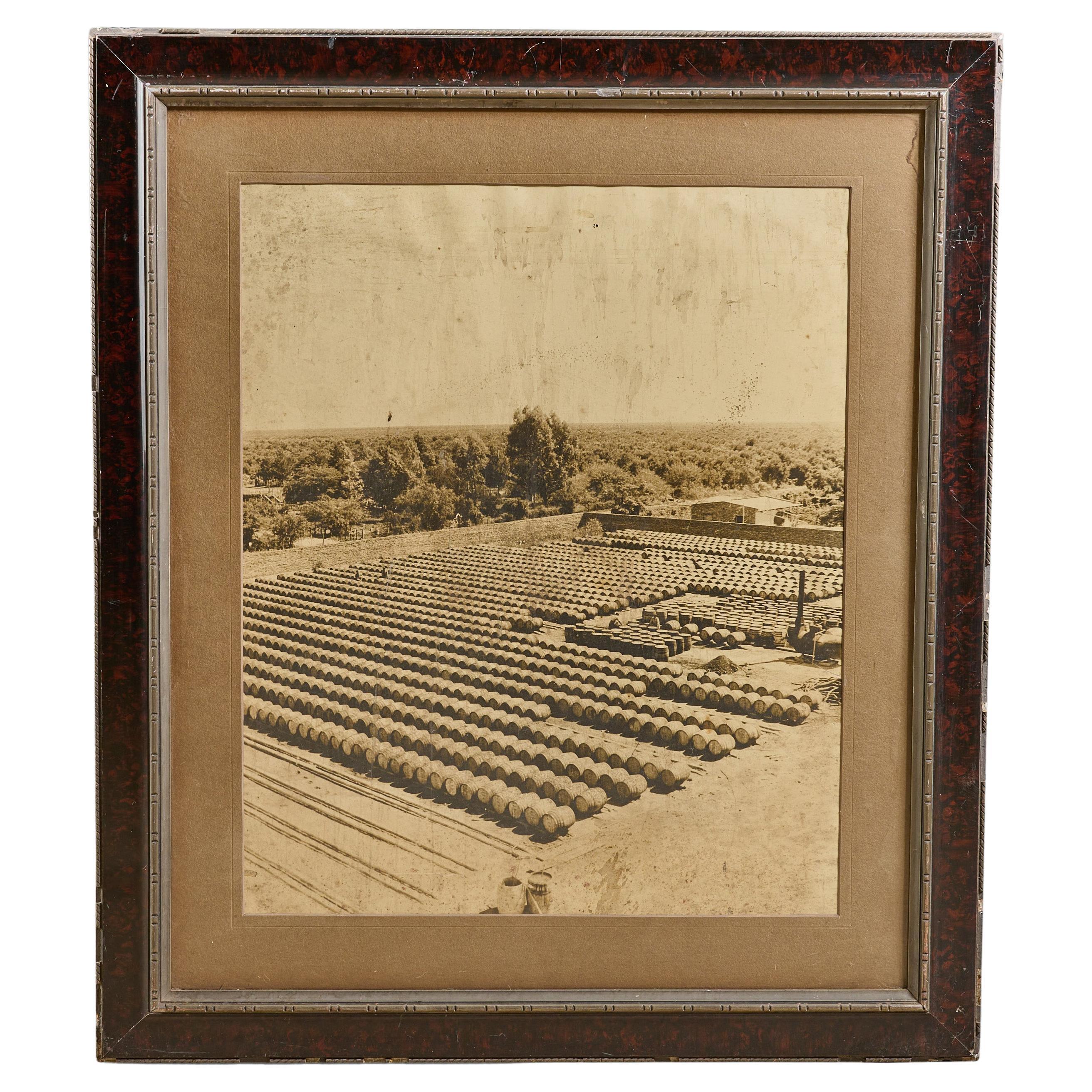 Framed Photograph of Wine Barrels