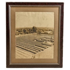 Used Framed Photograph of Wine Barrels