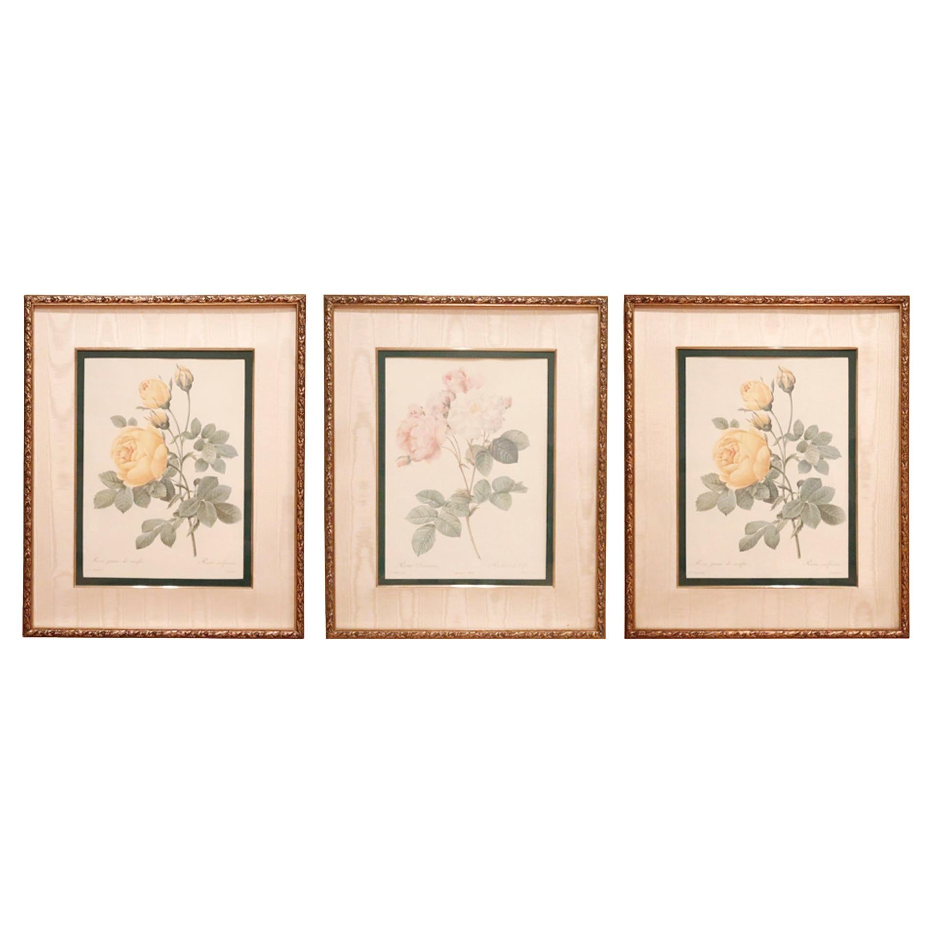 Framed Pierre-Joseph Redouté Prints, Set of 3