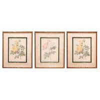 Four Large Architectural Prints of Classical Orders For Sale at 1stDibs