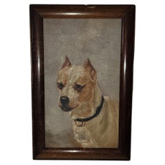Framed PitBull Terrier oil Painting