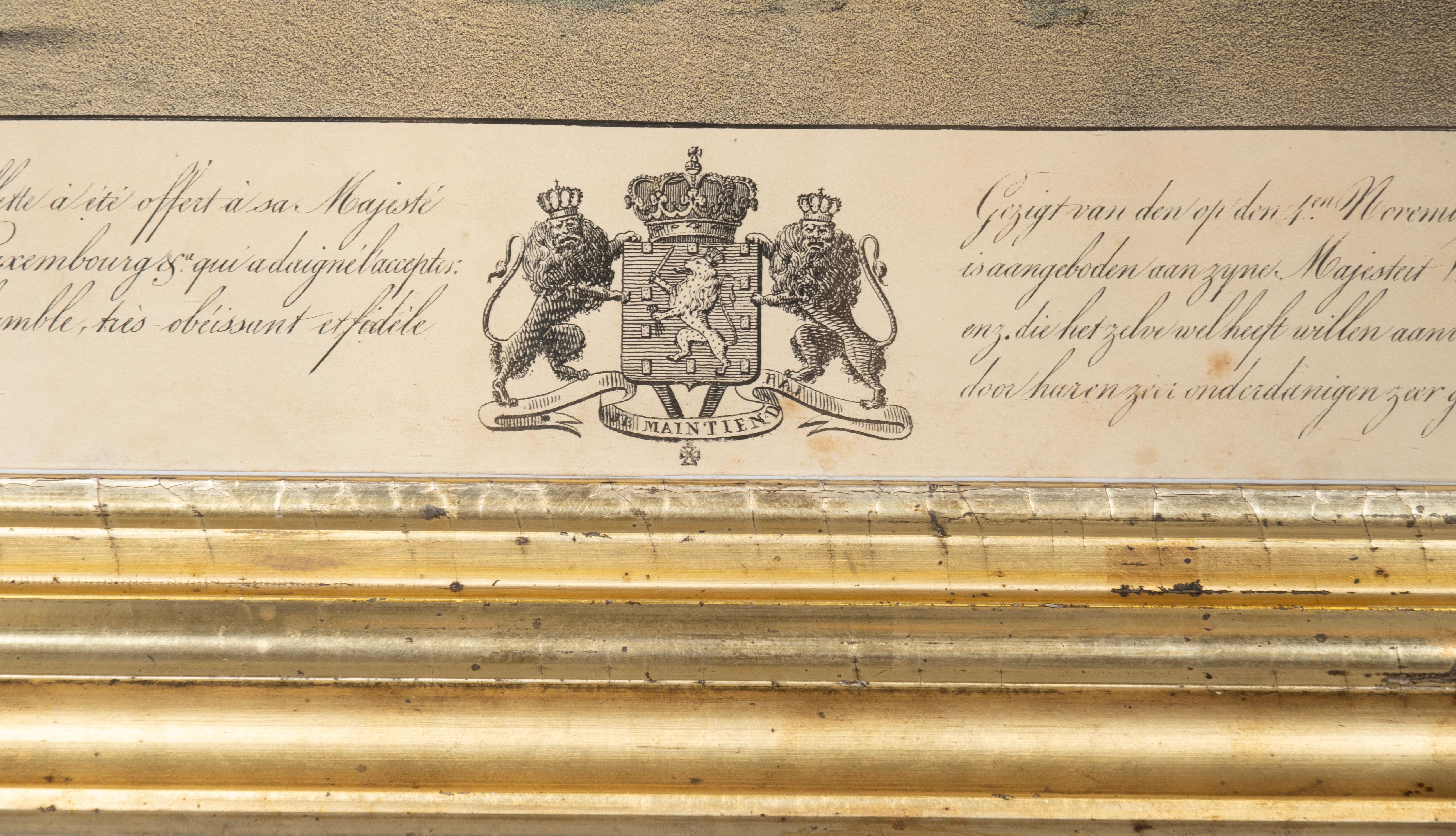 Gerahmter Druck eines Finnwals (Niederländisch) im Angebot