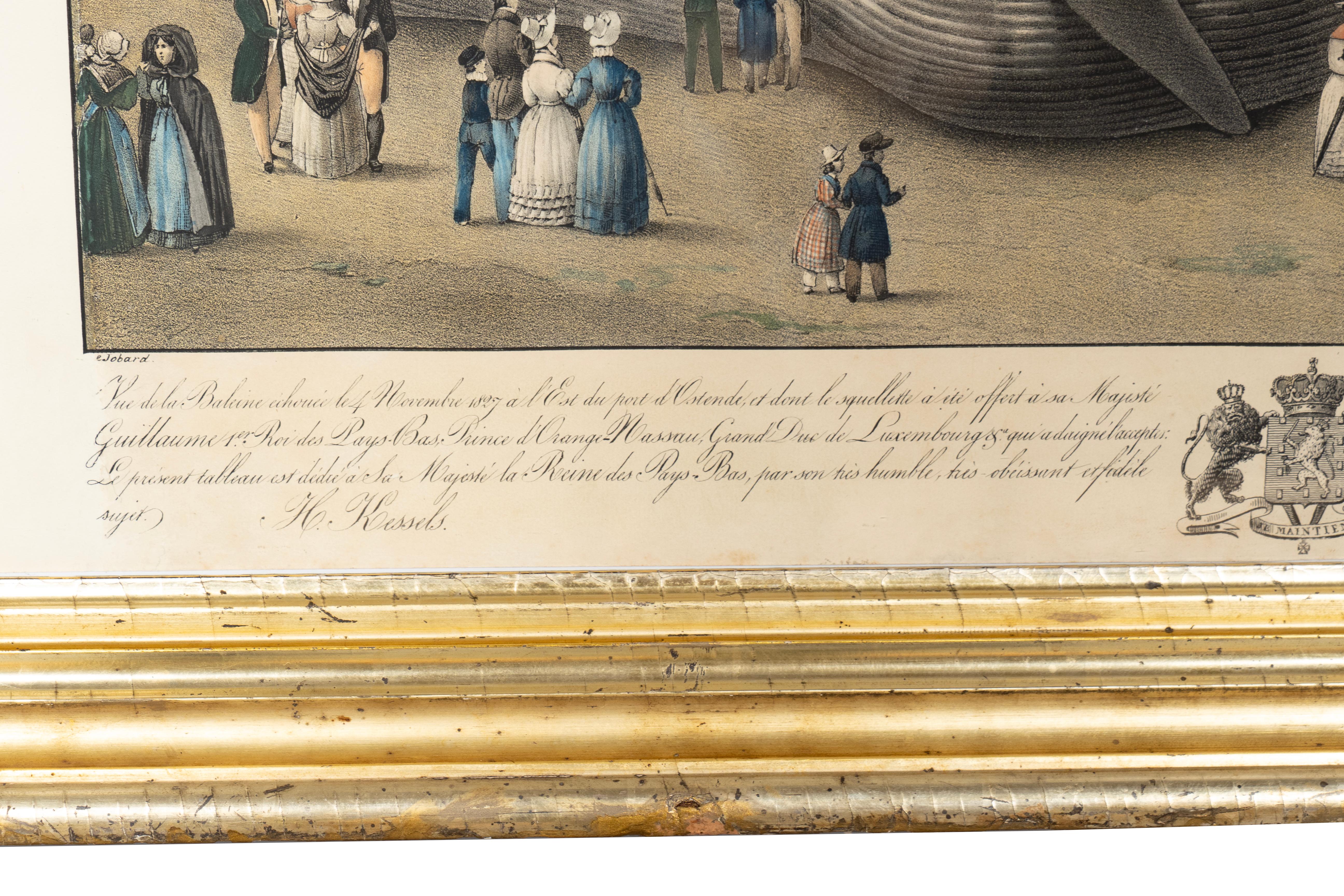 Gerahmter Druck eines Finnwals im Zustand „Gut“ im Angebot in Essex, MA