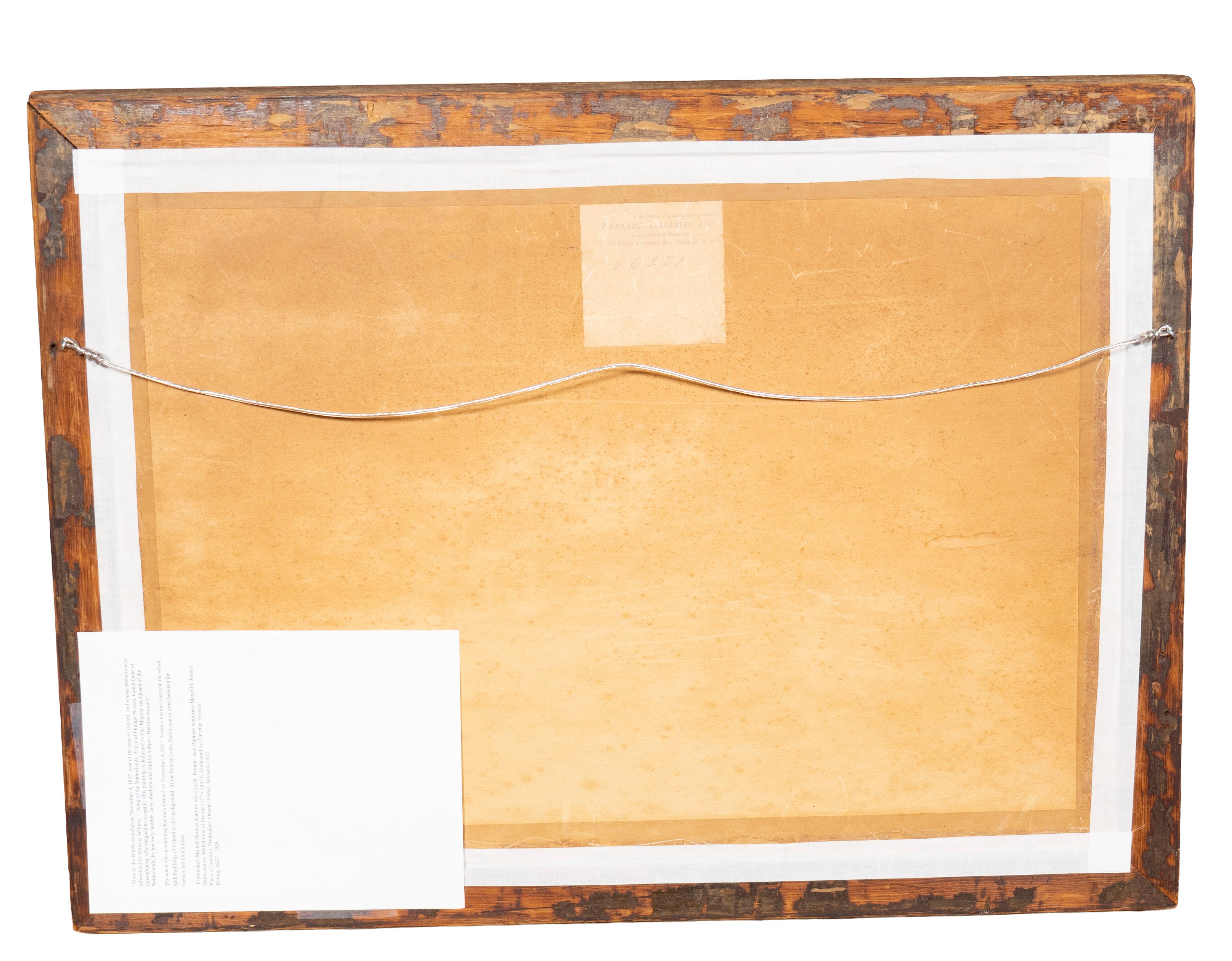 Gerahmter Druck eines Finnwals im Angebot 2