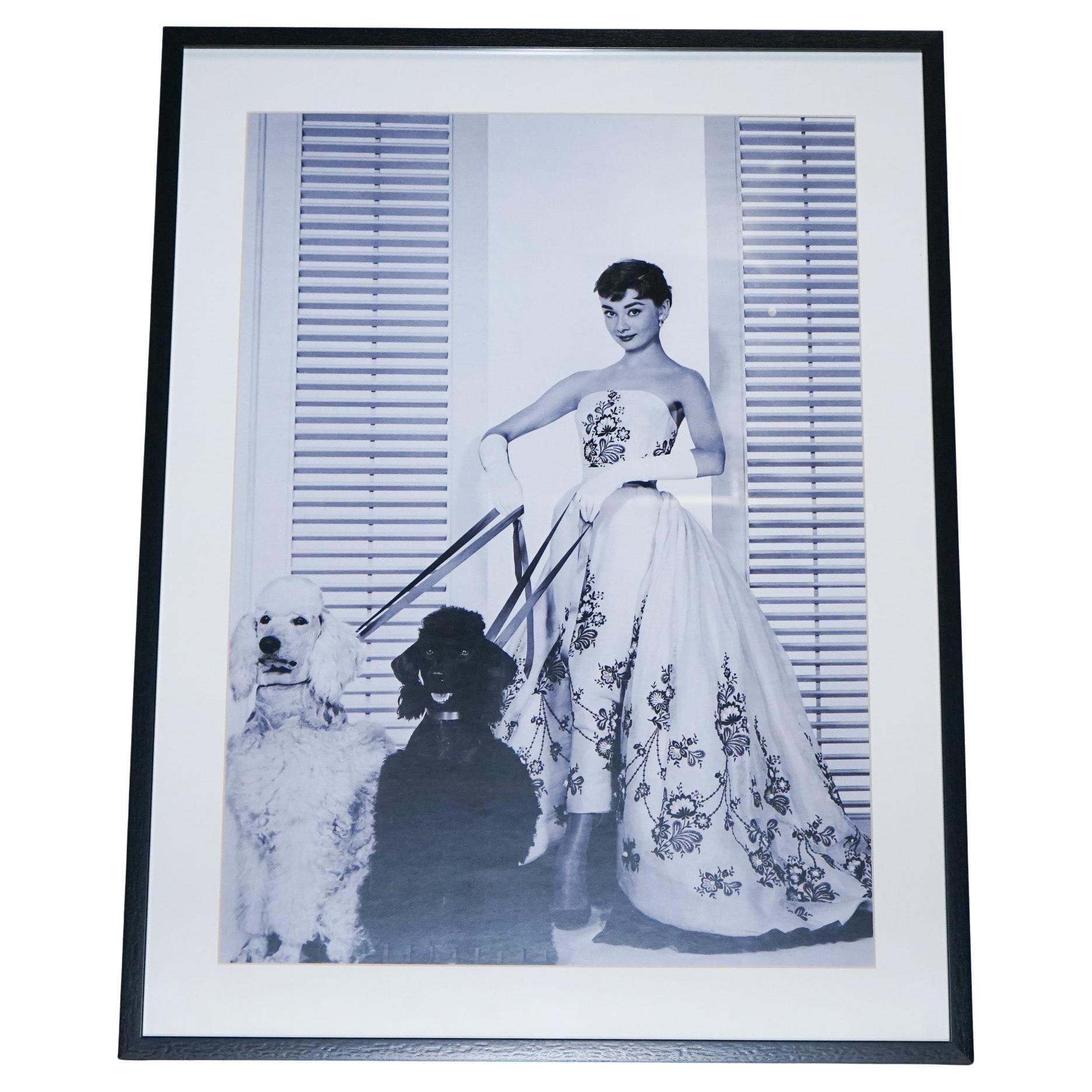 PRINT AUDREY HEPBURN DANS LA ROBE D' ORGANDY BALL en vente
