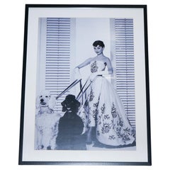 GRÁFICO ENMARCADO DE AUDREY HEPBURN CON EL VESTIDO DE BAILE DE ORGANDÍA DE SiLK