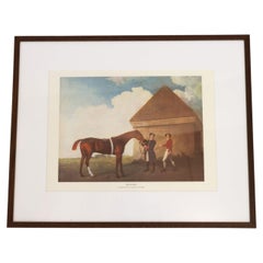 Framed Print of Chestnut Horse "Eclipse" by George Stubbs, late 20th Century.