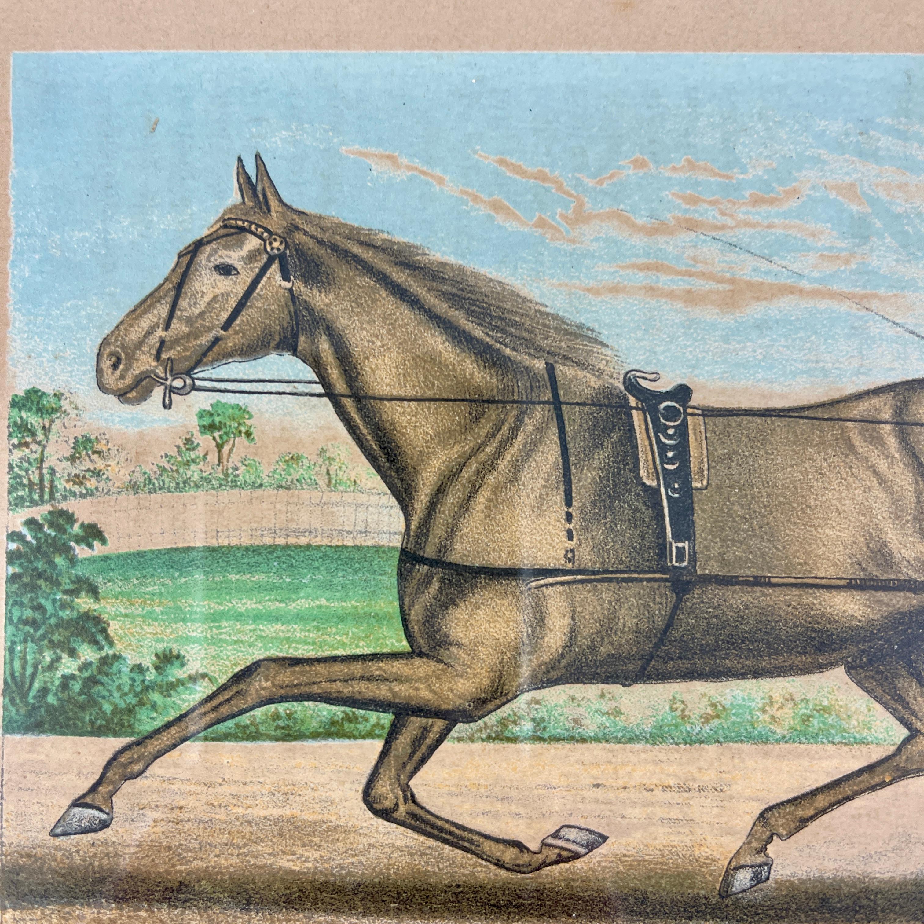 Framed Race Horse Champions Original Chromolithographs Printed in 1882, Set /3 For Sale 2