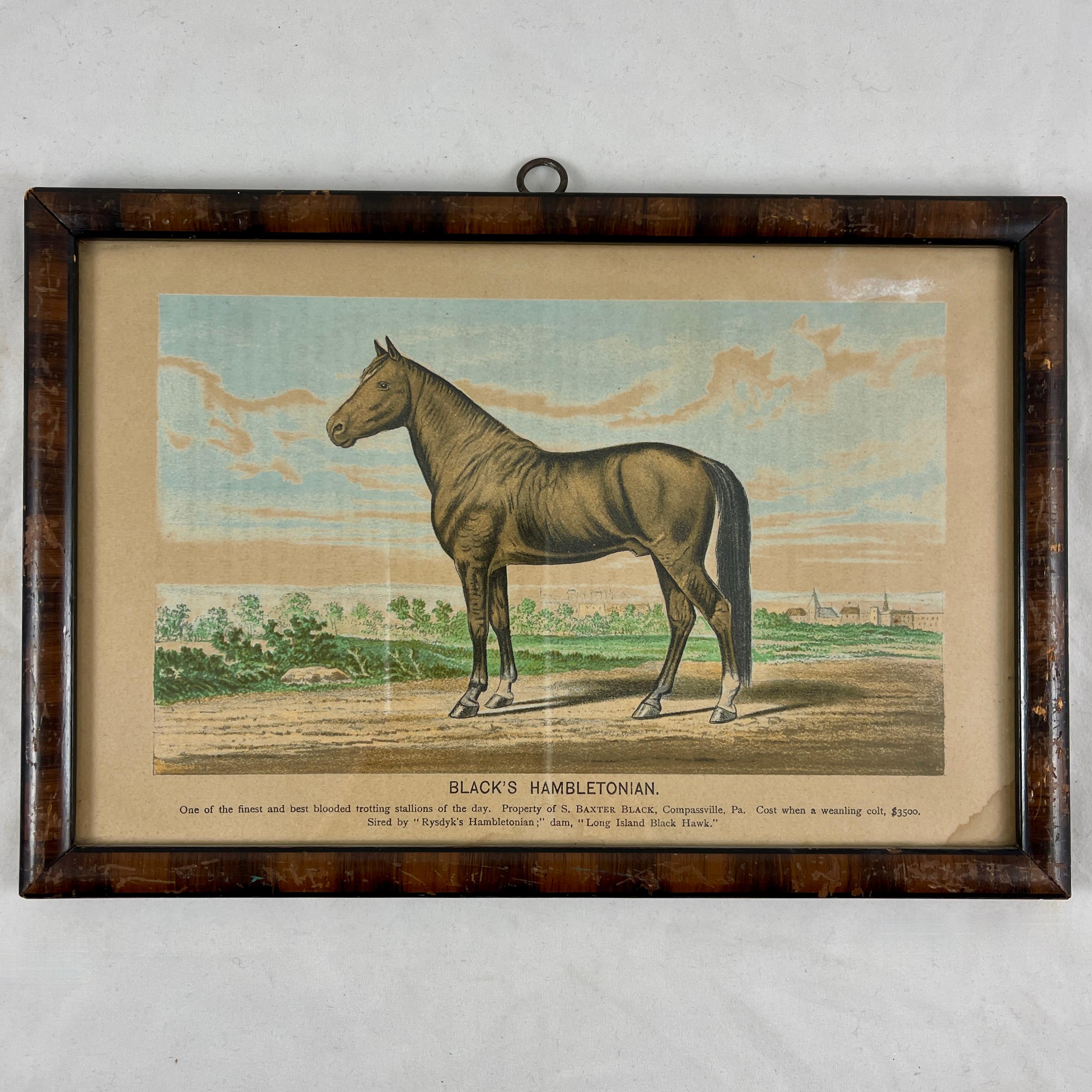 Framed Race Horse Champions Original Chromolithographs Printed in 1882, Set /3 For Sale 4
