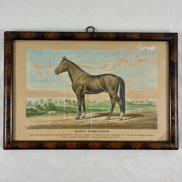 Framed Race Horse Champions Original Chromolithographs Printed in 1882, Set  /3 For Sale at 1stDibs