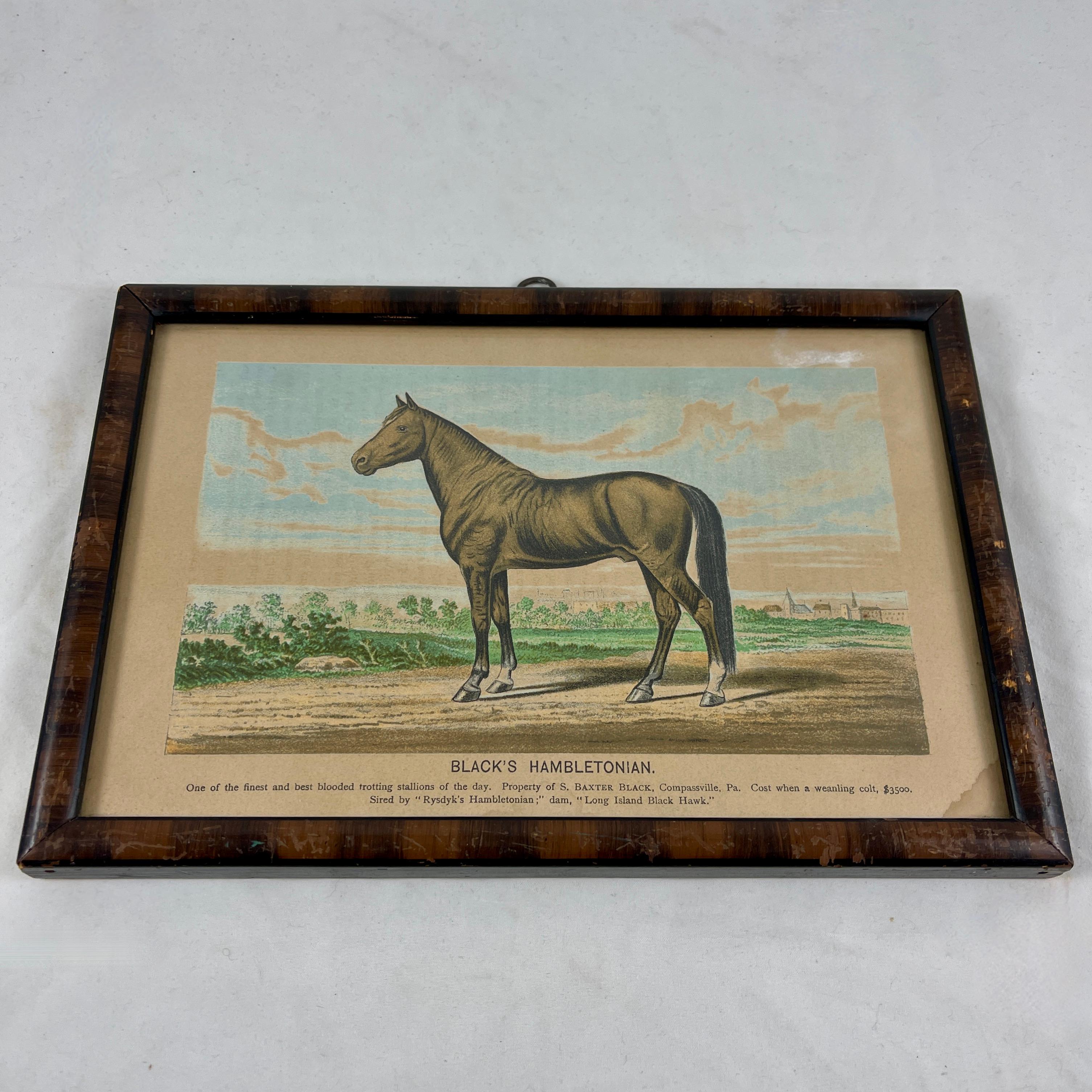 Framed Race Horse Champions Original Chromolithographs Printed in 1882, Set /3 7