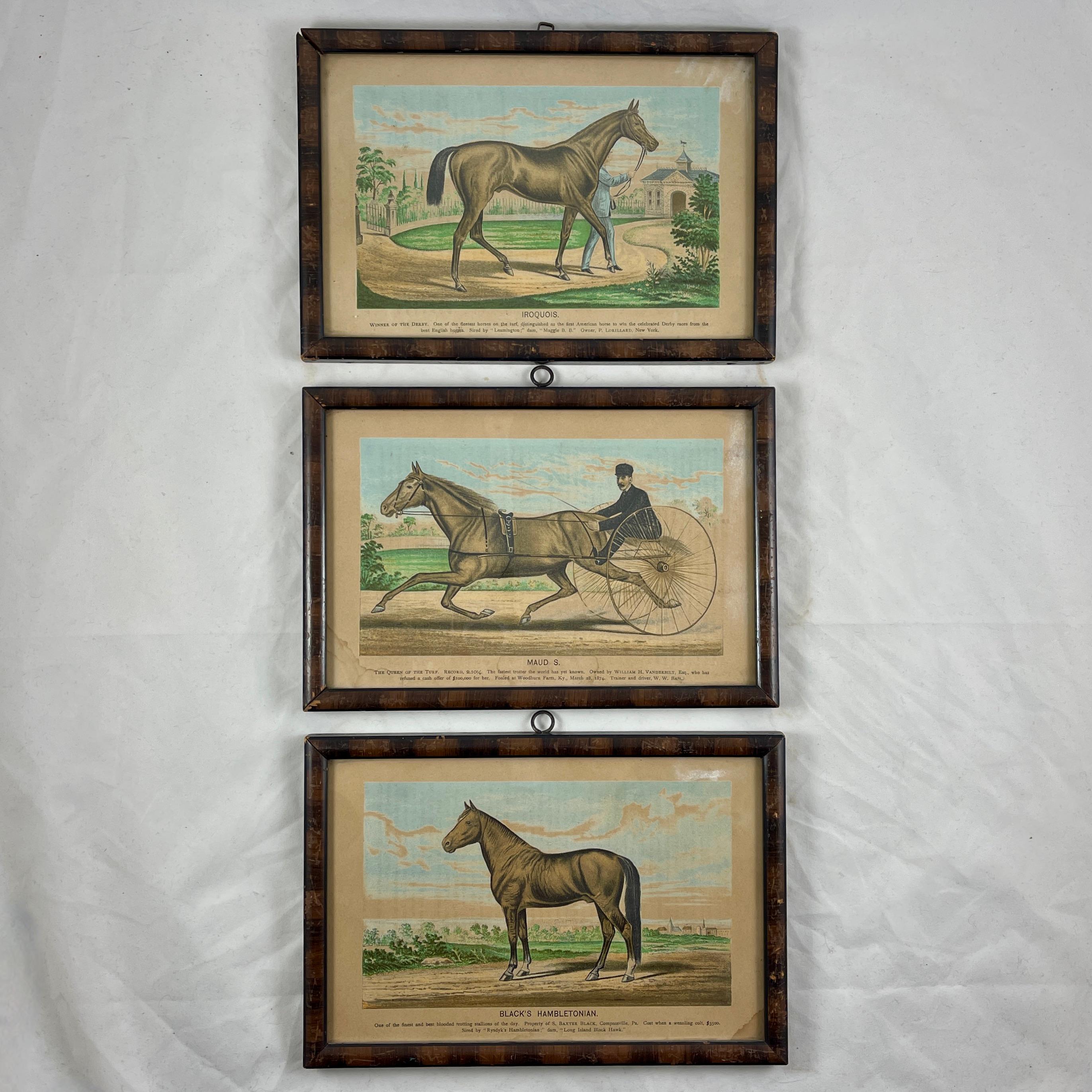 Framed Race Horse Champions Original Chromolithographs Printed in 1882, Set /3 9