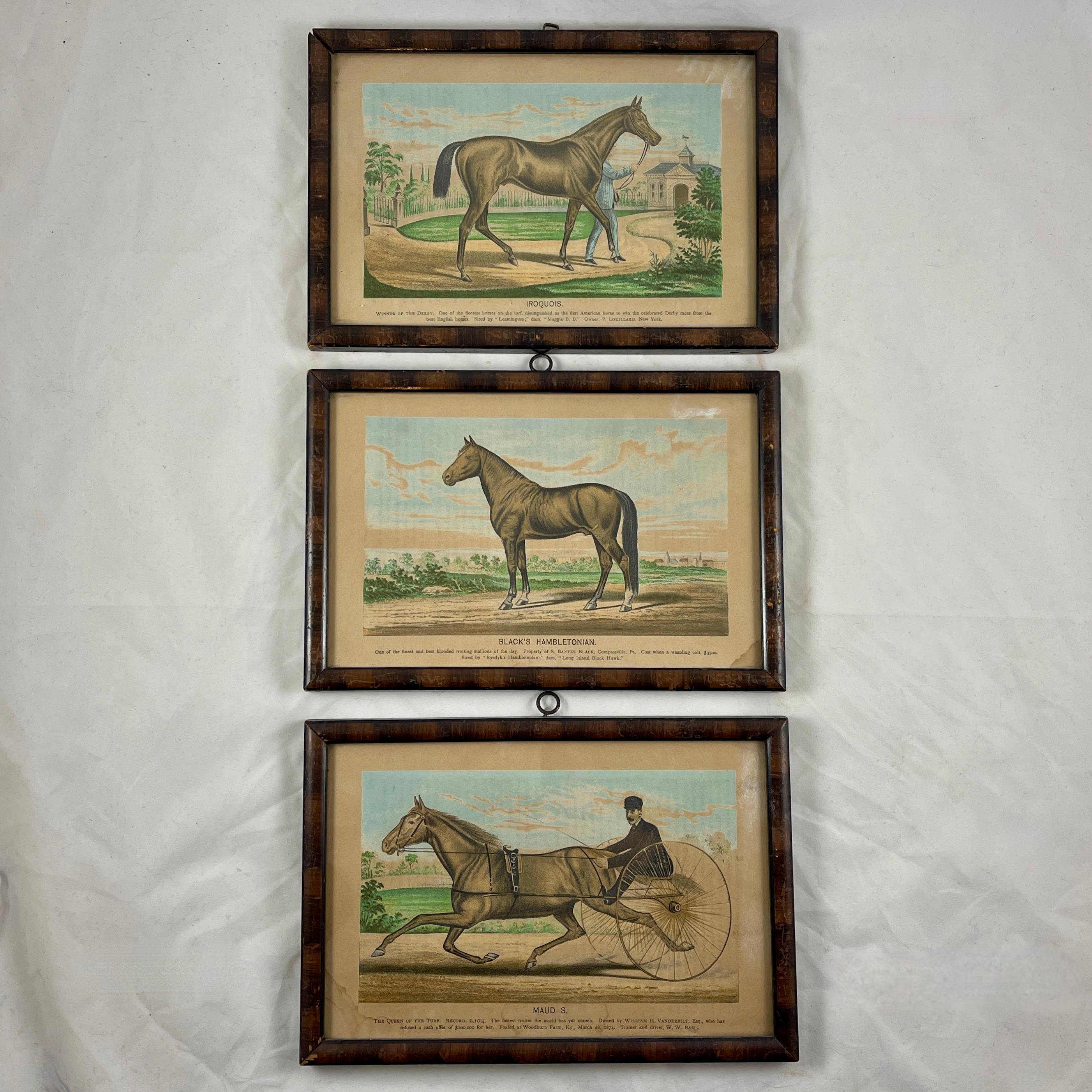 A set of three framed original Race Horse Chromolithographs originally published in the “Illustrated Stock Doctor and Livestock Encyclopedia” in 1882.

In hand-painted wood frames secured with small nails, with metal hanging rings.

Captioned as