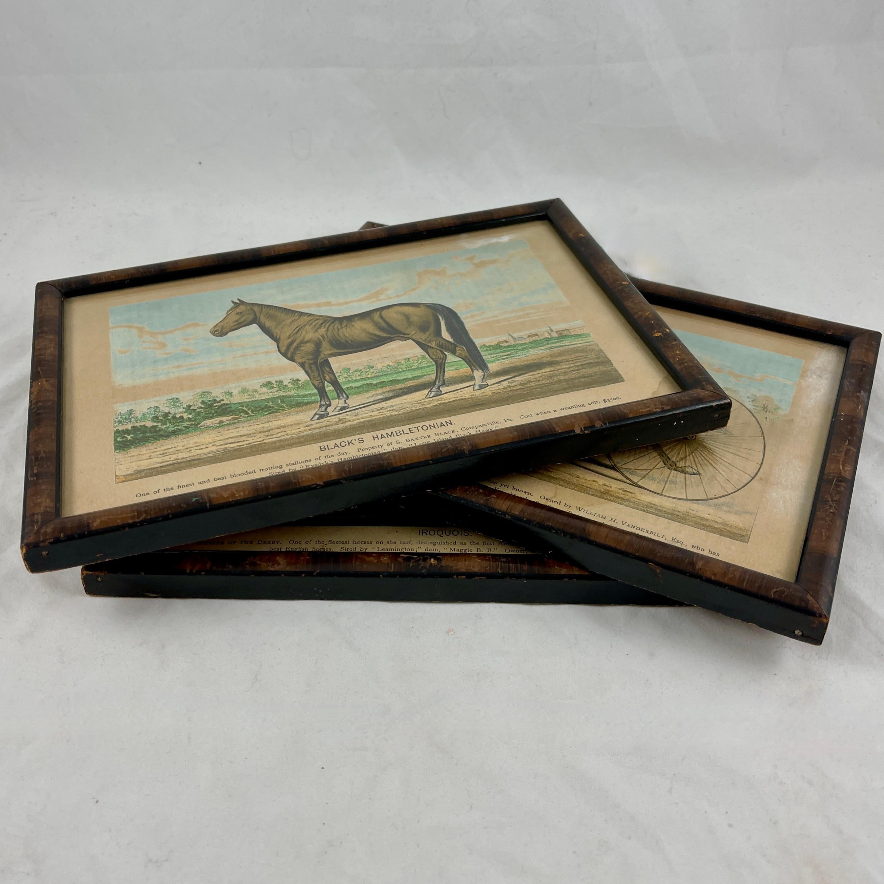 American Classical Framed Race Horse Champions Original Chromolithographs Printed in 1882, Set /3