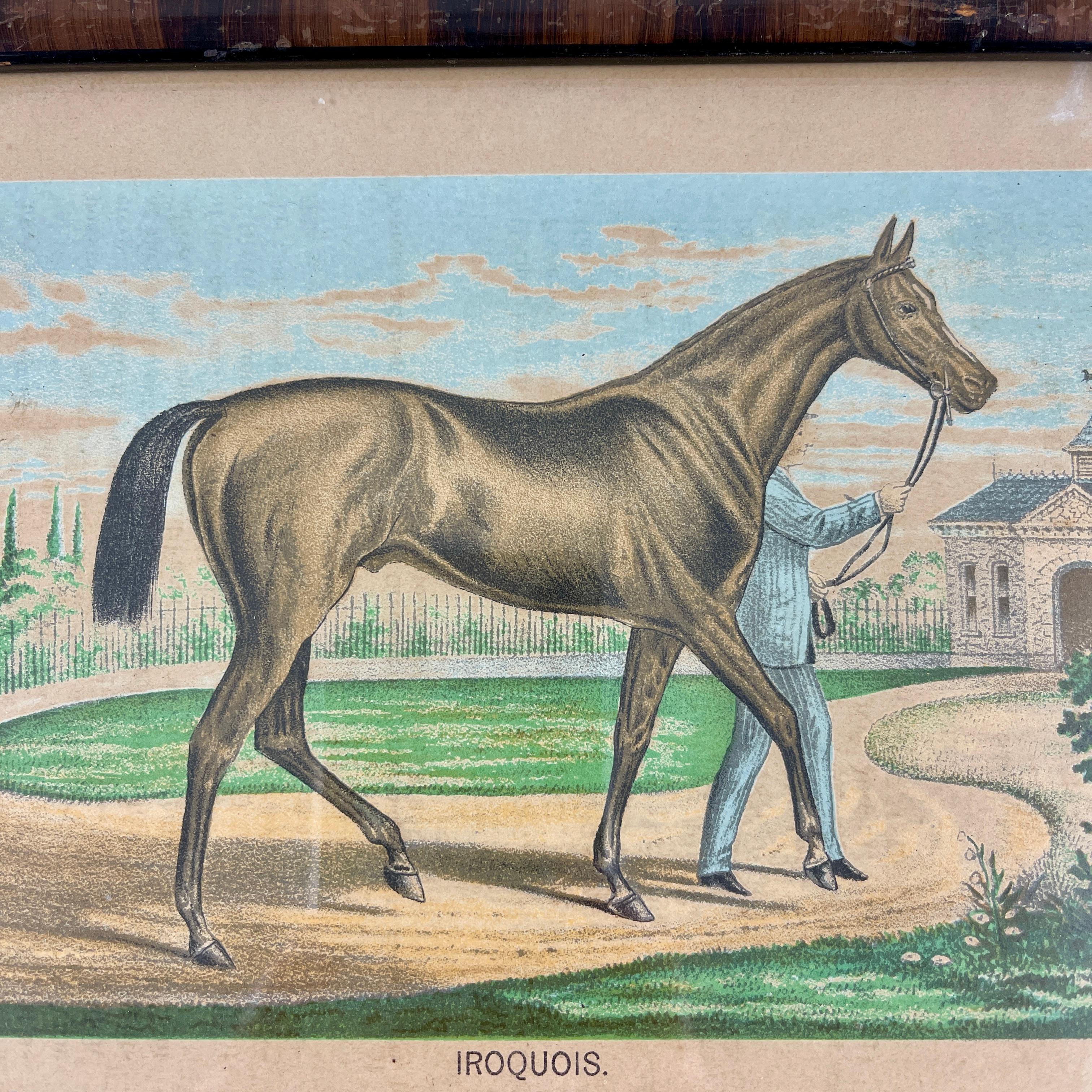 Original Chromolithographien mit gerahmten Rennpferden-Champions, gedruckt 1882, Set /3 (Polychromiert)