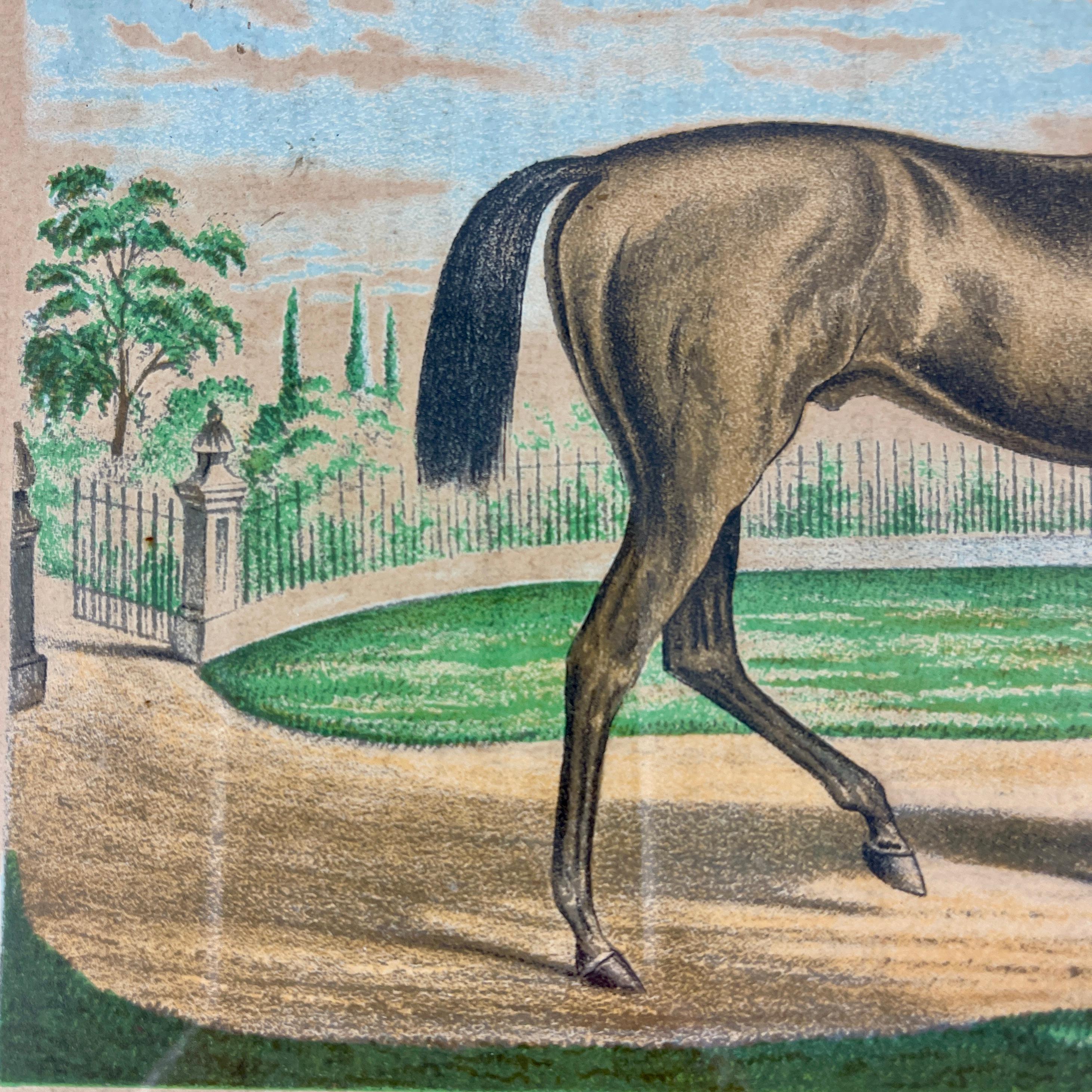 Framed Race Horse Champions Original Chromolithographs Printed in 1882, Set /3 In Good Condition In Philadelphia, PA