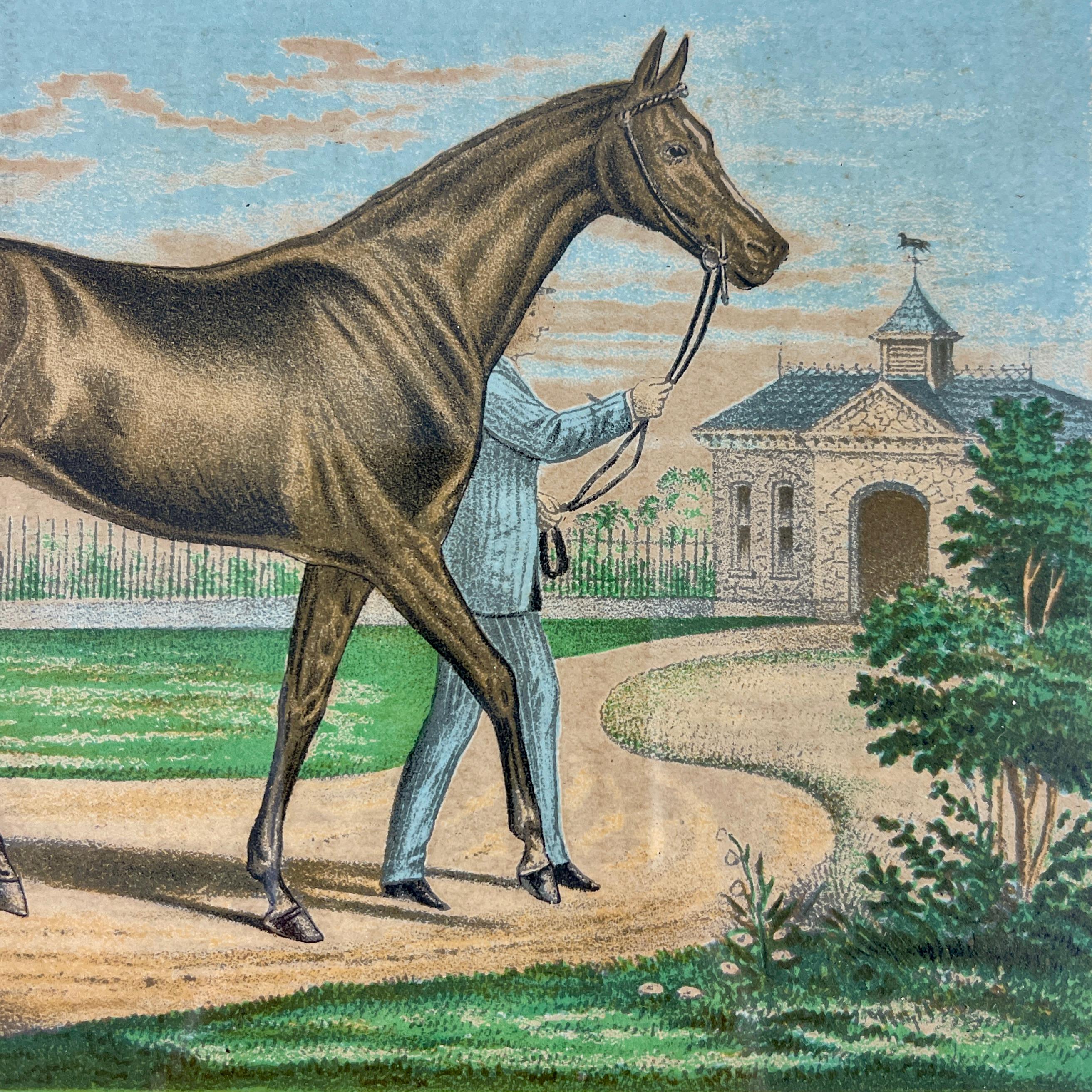 Original Chromolithographien mit gerahmten Rennpferden-Champions, gedruckt 1882, Set /3 (19. Jahrhundert)