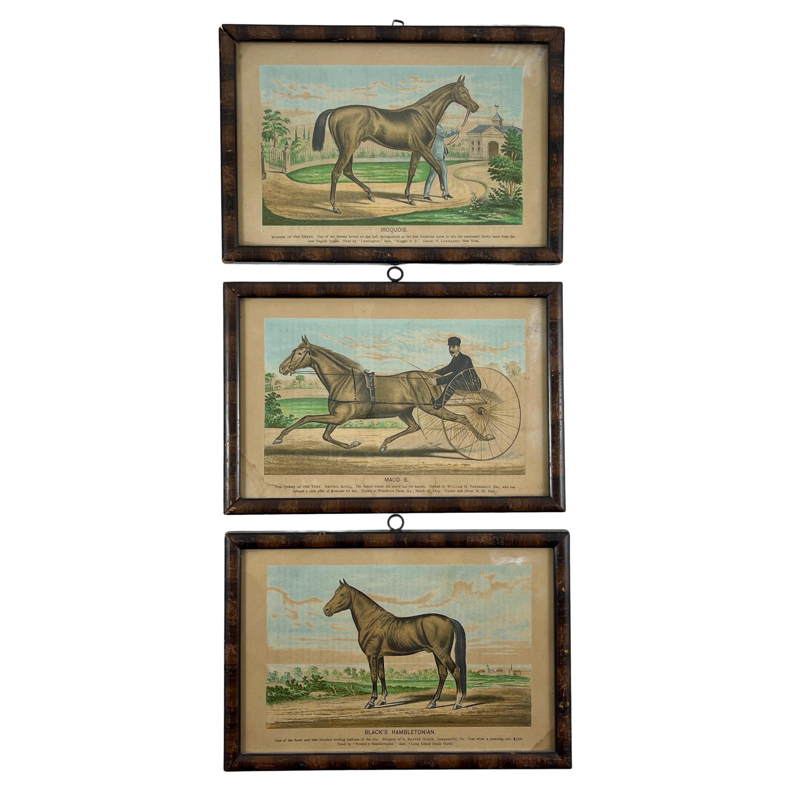 Framed Race Horse Champions Original Chromolithographs Printed in 1882, Set /3 For Sale