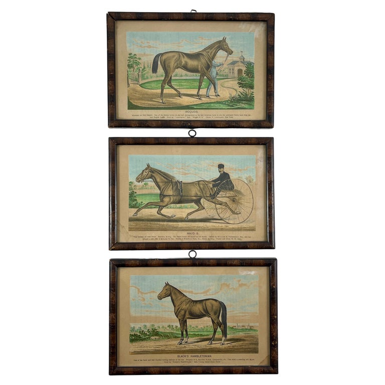 Framed Race Horse Champions Original Chromolithographs Printed in 1882, Set  /3 For Sale at 1stDibs