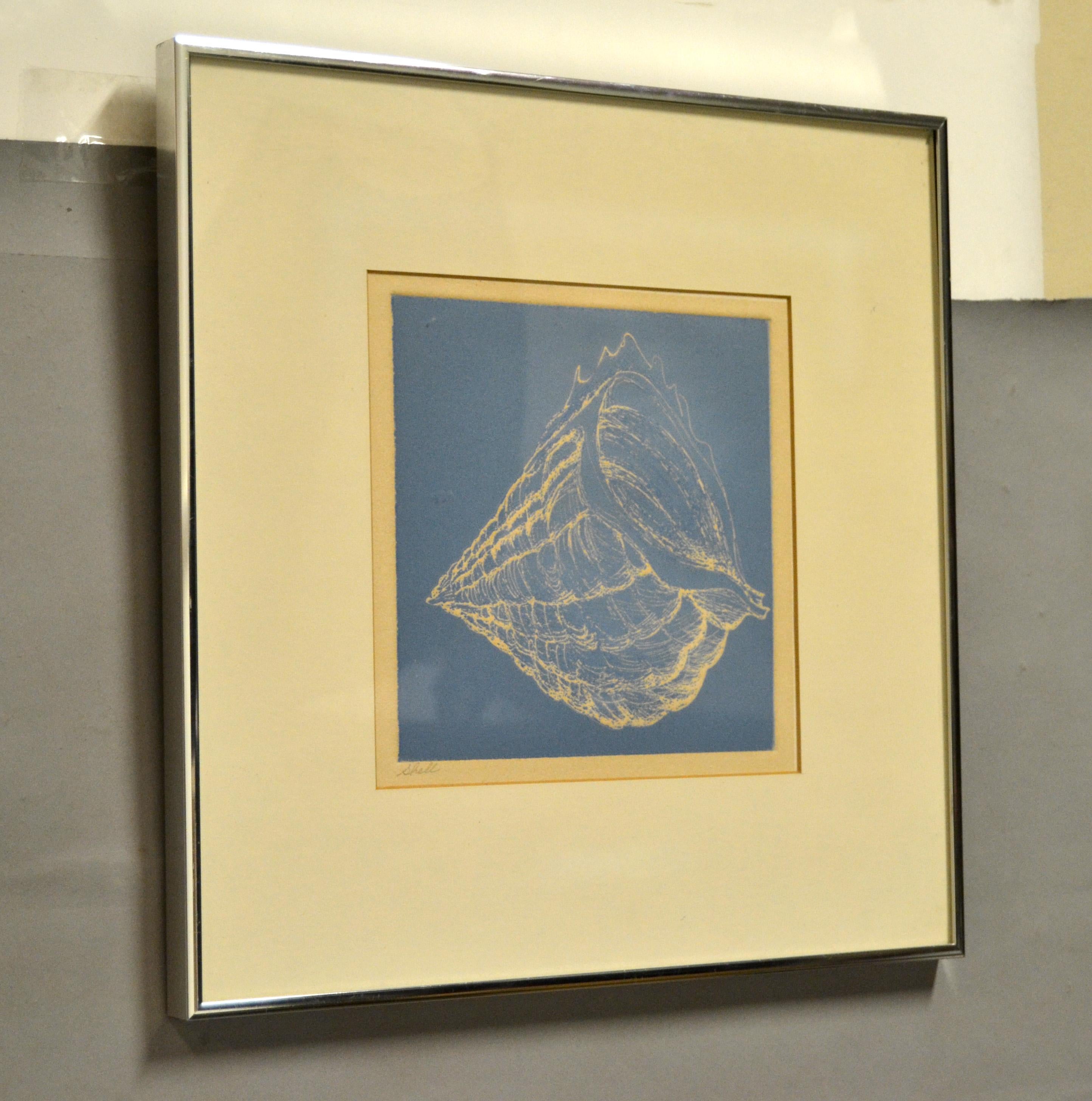 Mid-Century Modern Framed Realism Blue & Beige Seashell Pencil Painting, Fine Art Brushed Chrome  For Sale