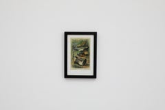 1905 Druckerei Meyer Pheasant Lithograph, Framed Reprint, Germany