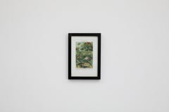 1905 Druckerei Meyer Vertebrate Lithograph, Framed Reprint, Original Condition