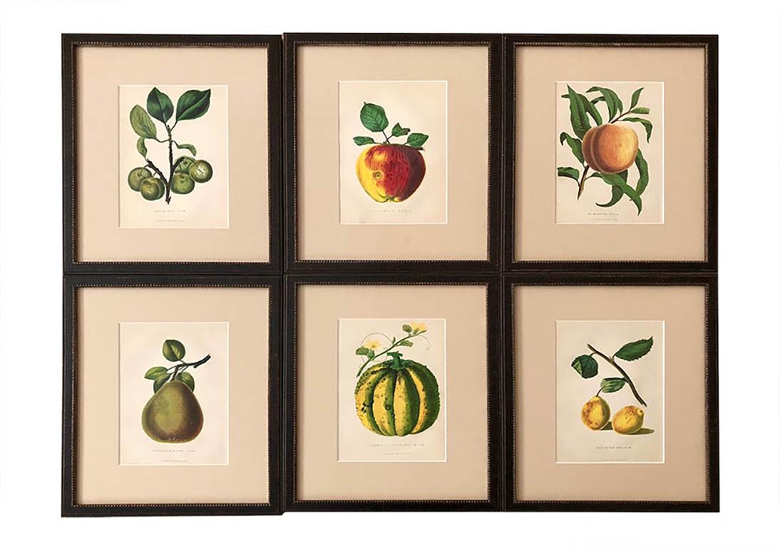 These chromolithographs are by the esteemed Belgian lithographer G. Severyns from illustrations by J Macfarlane and published by William Mackenzie of London Glasgow and Edinburgh. Presented in bespoke frames behind Tru Vu glass which cuts reflection