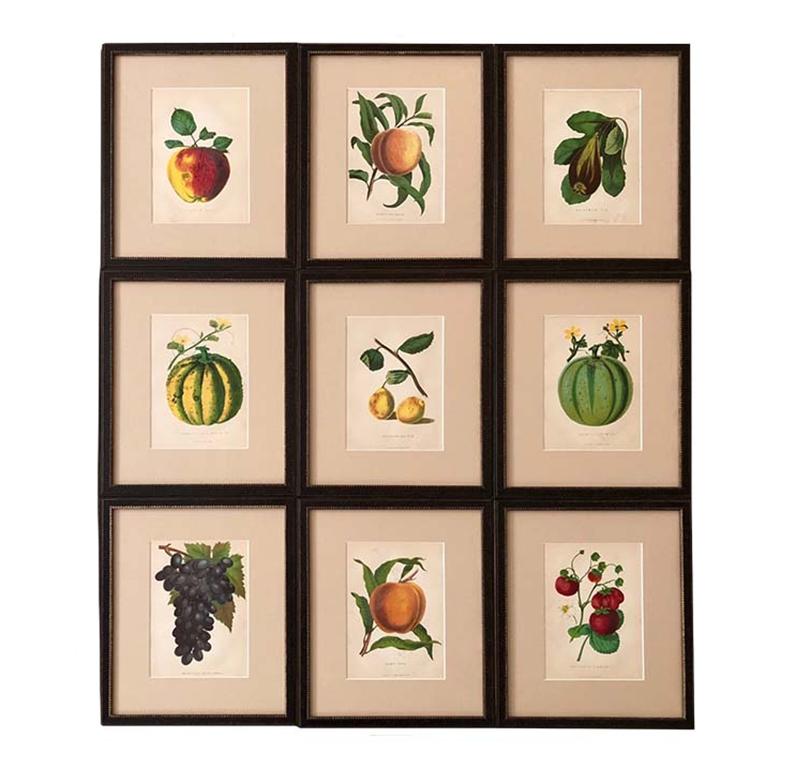 Belgian Framed Set of Twelve G. Severyns Fruit Chromolithographs