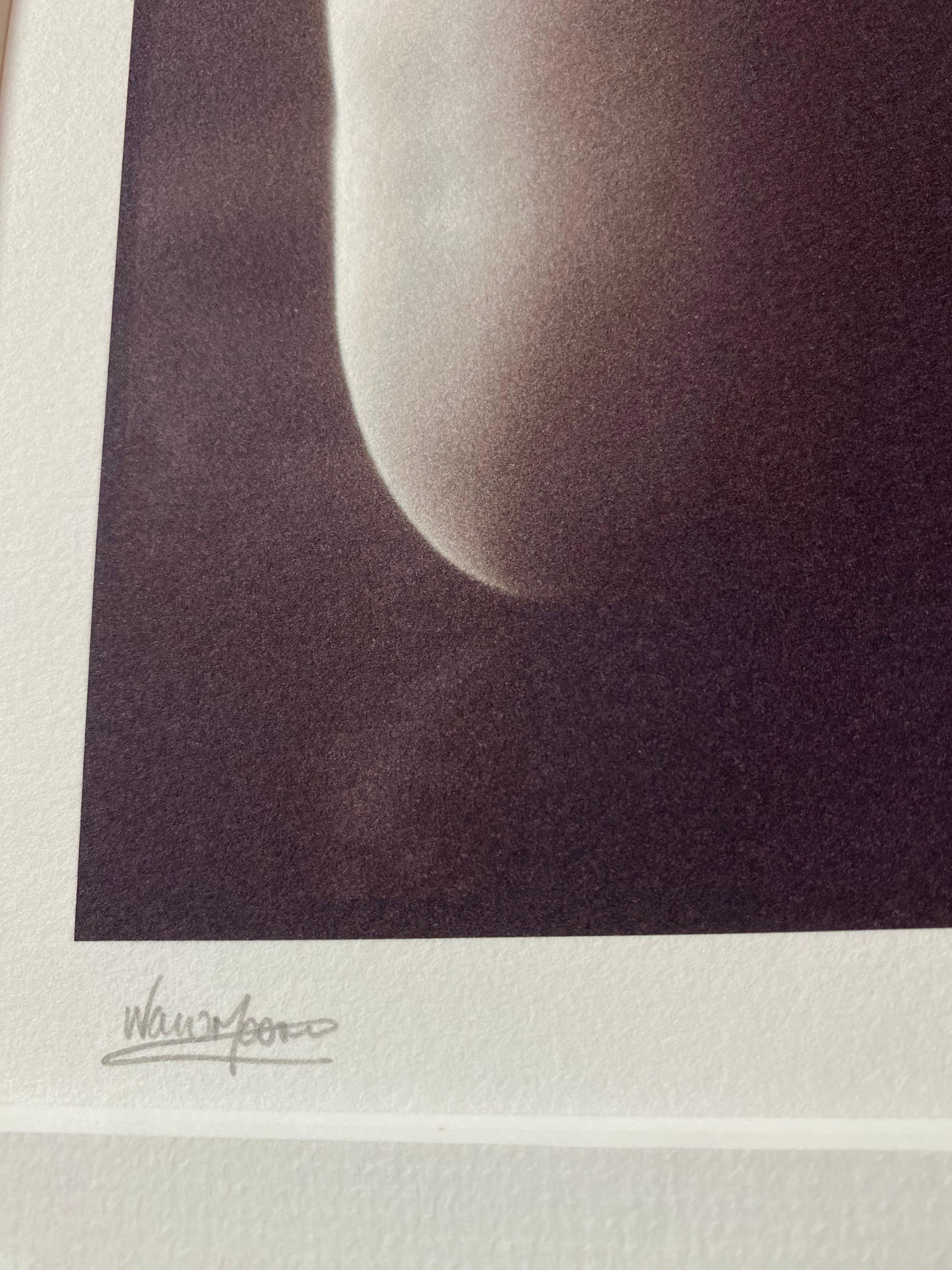 Framed + Signed Black & White Still Life Bell Pepper For Sale 7