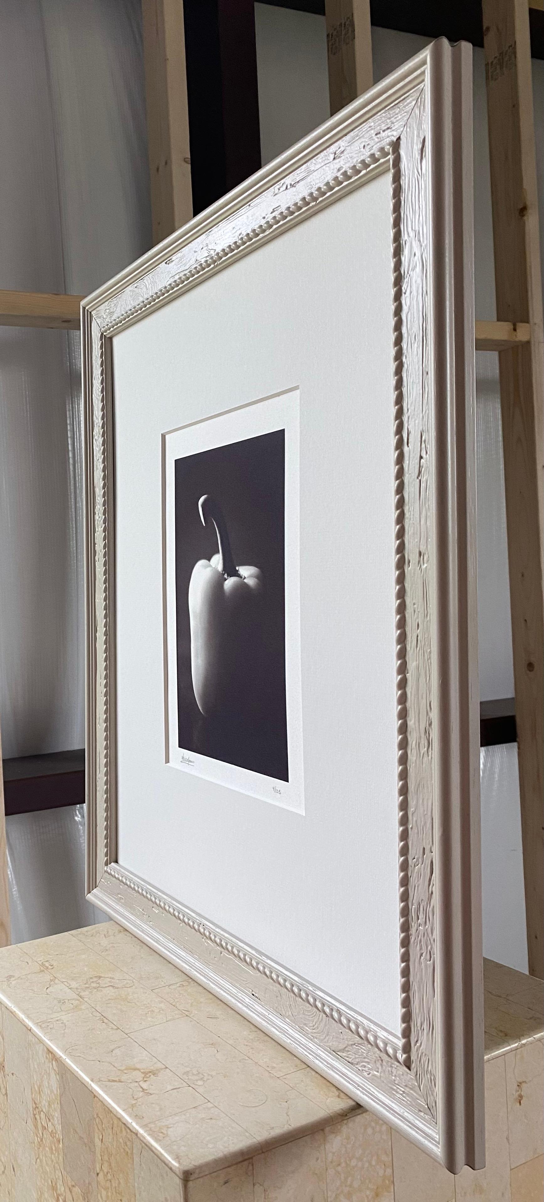 American Framed + Signed Black & White Still Life Bell Pepper For Sale