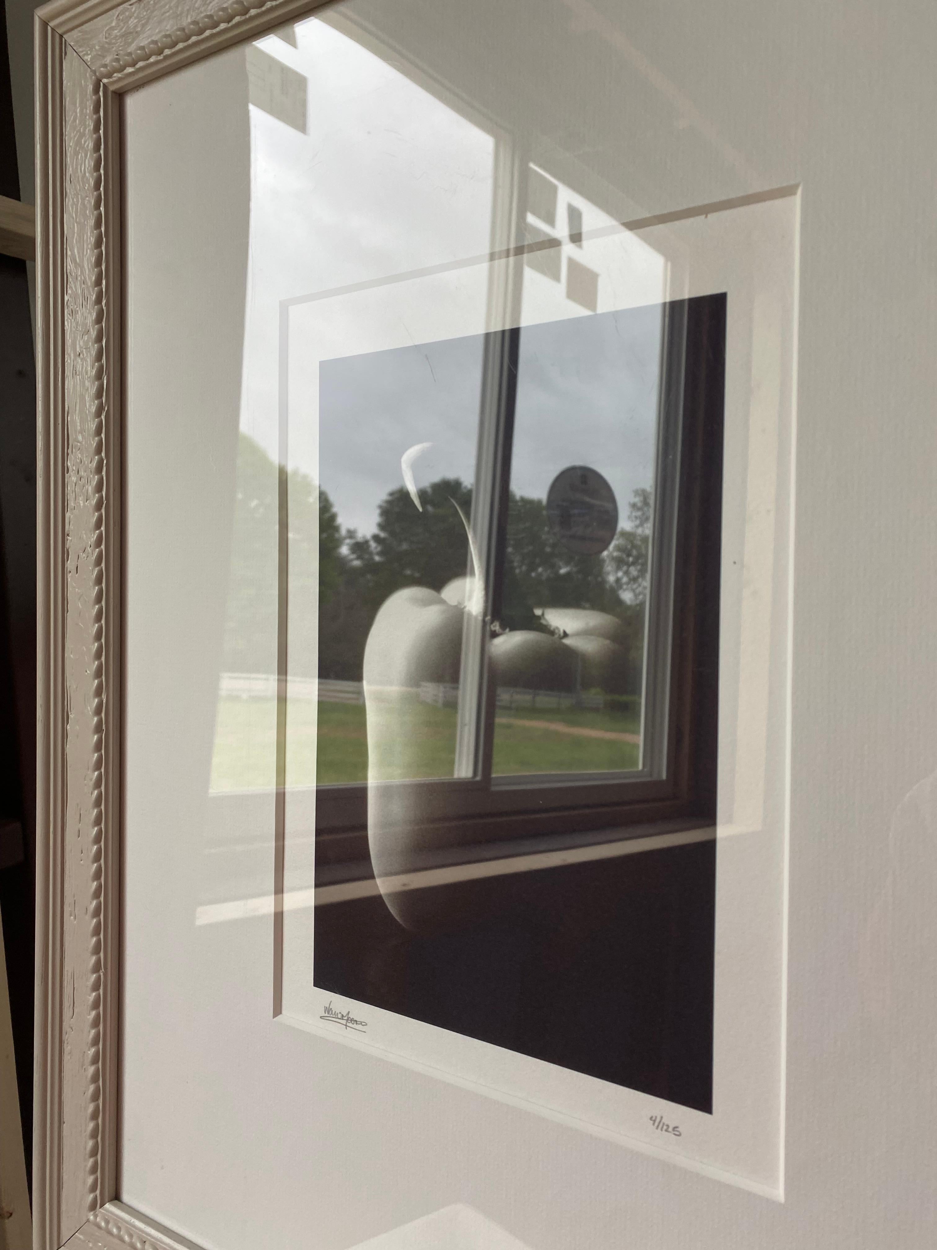 Hand-Crafted Framed + Signed Black & White Still Life Bell Pepper For Sale