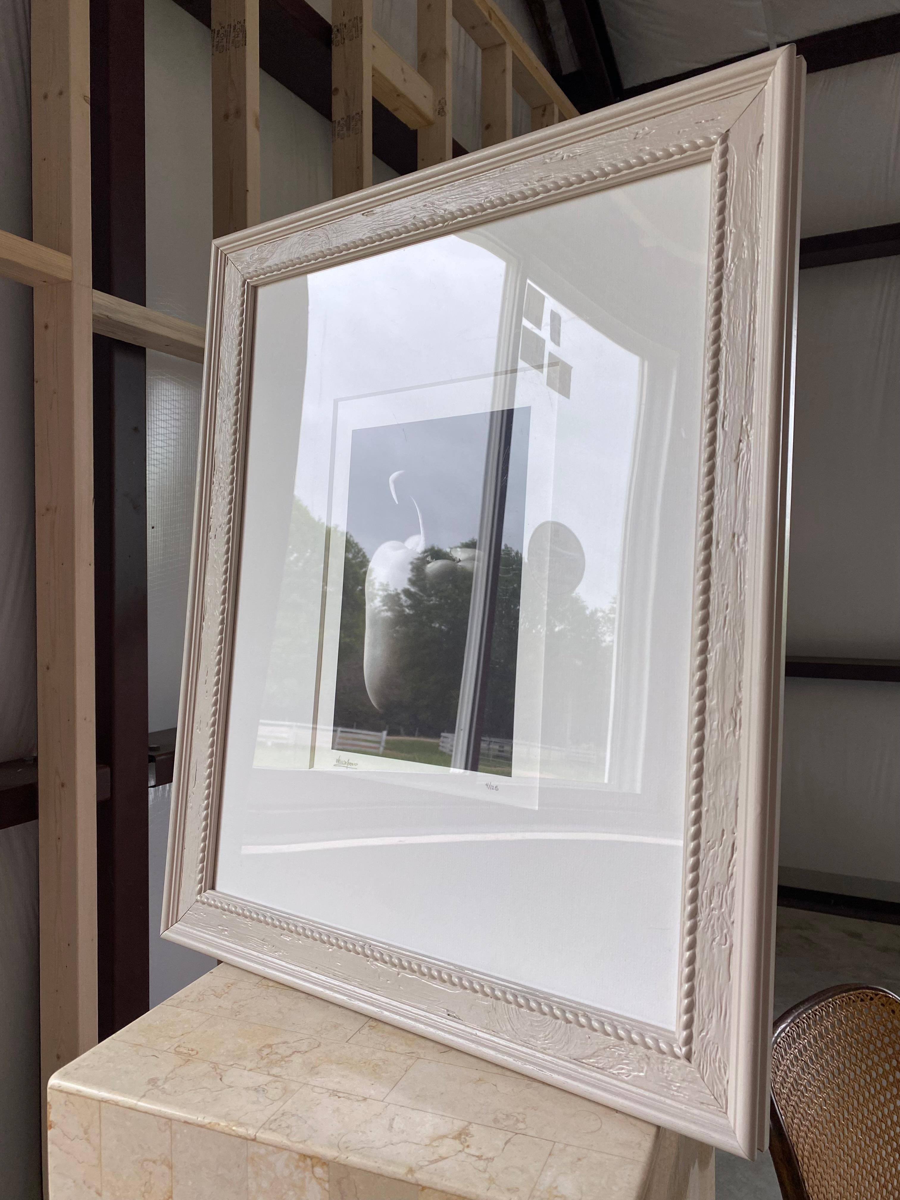 Framed + Signed Black & White Still Life Bell Pepper In Good Condition For Sale In Round Top, TX