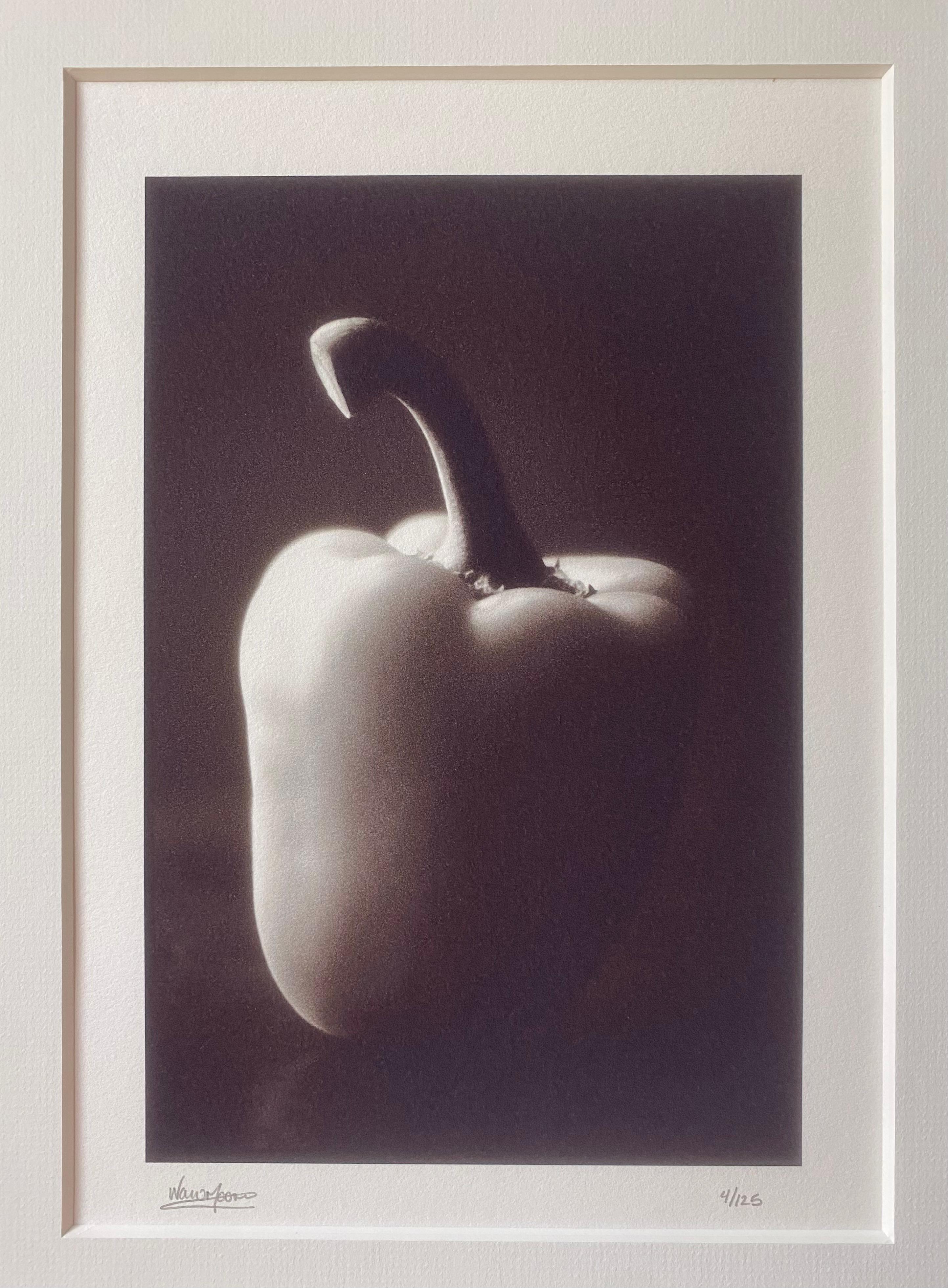 Framed + Signed Black & White Still Life Bell Pepper For Sale 1