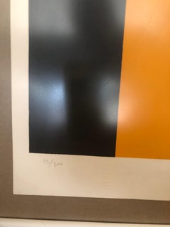 Framed Silkscreen on paper by Paloma Picasso, 1975