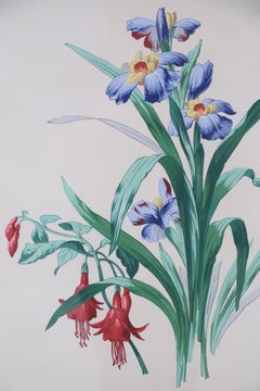 Framed Still Life Illustration of Blue and Yellow Irises