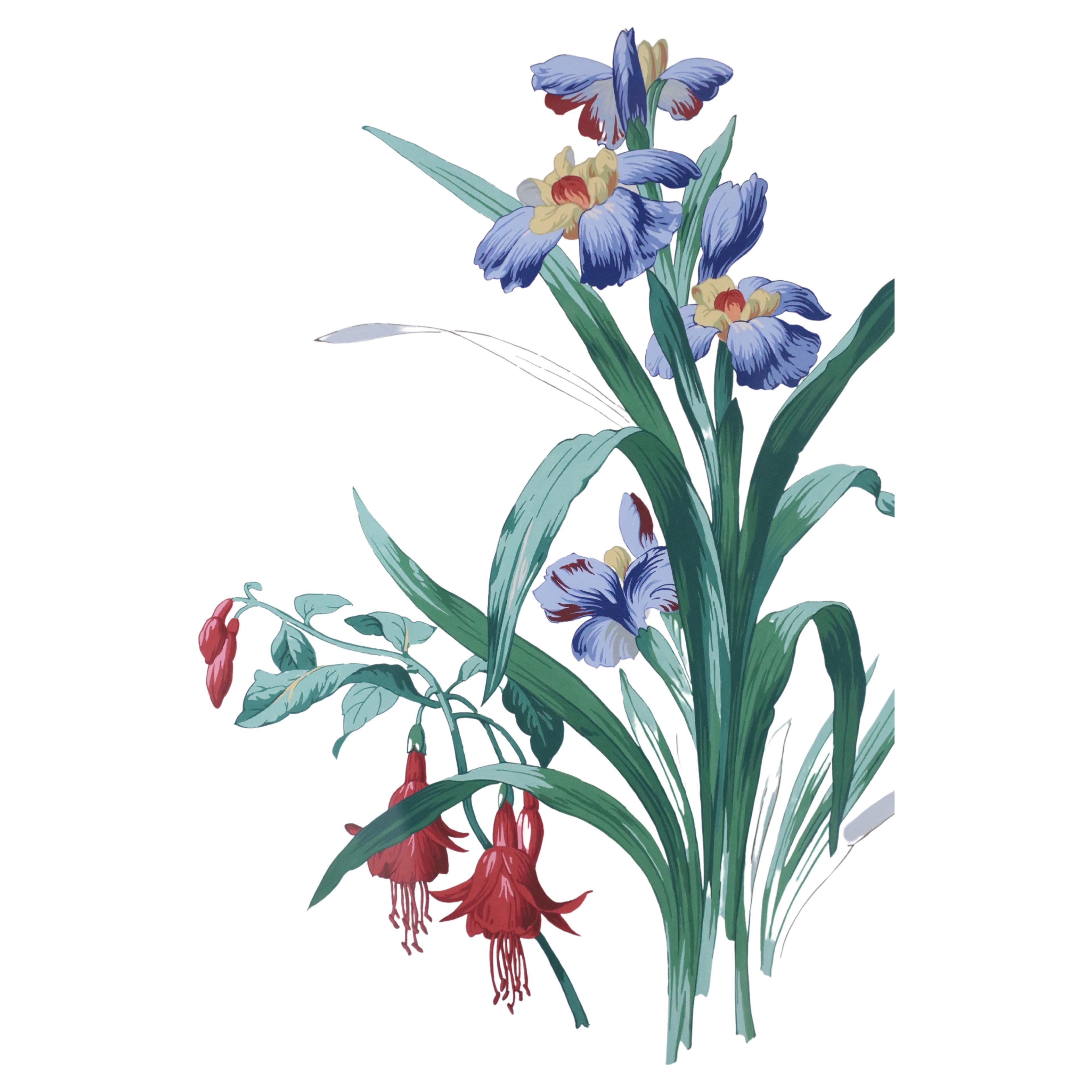 Mid-century illustration / watercolor of a bouquet of blue and yellow irises in a burgundy and light blue double mat and a rectangular giltwood frame.
     