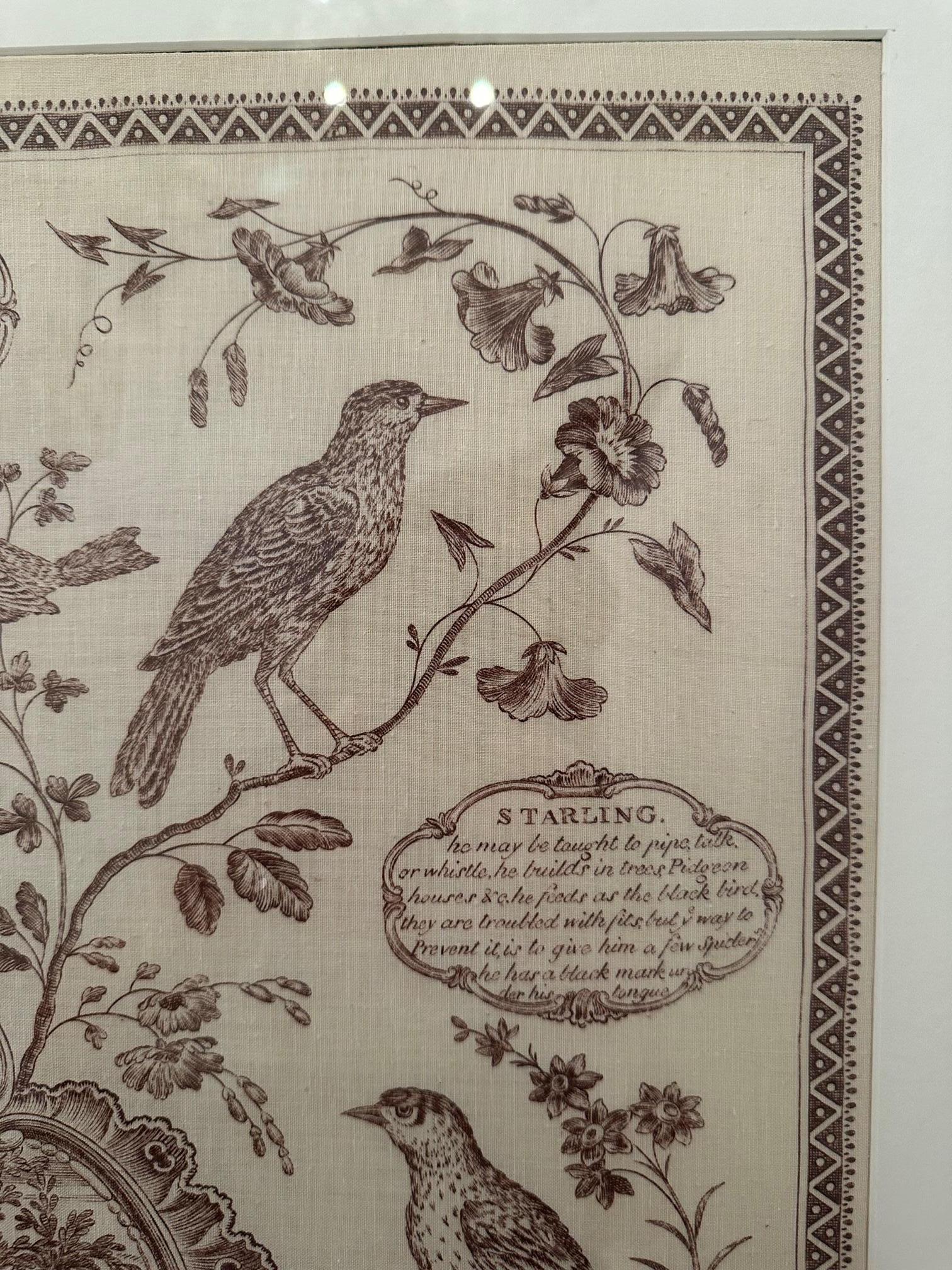 Framed Vintage Linen Aviary Print For Sale 4