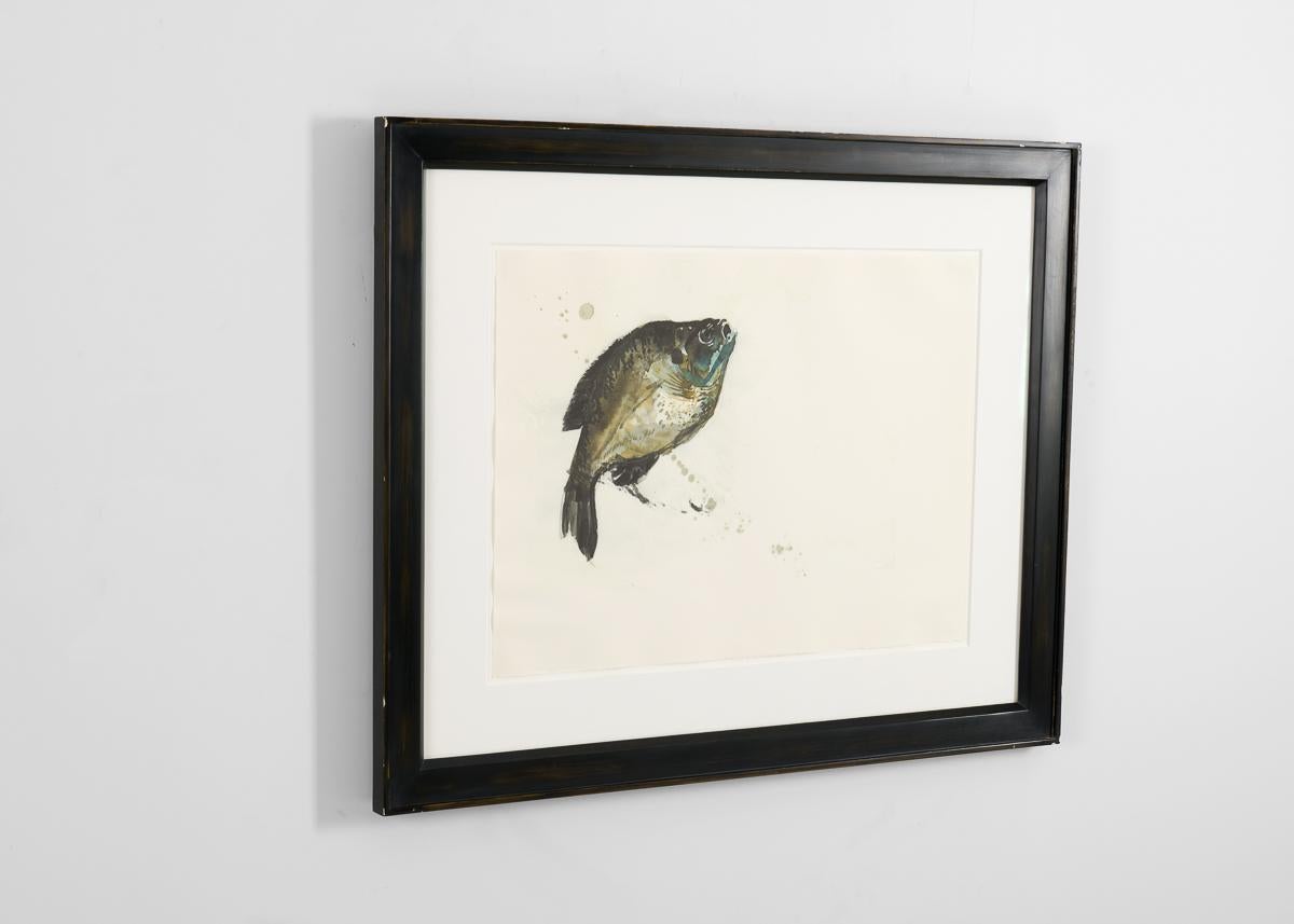 American Framed Print Depicting a Fish from the collection of Thierry Despont For Sale